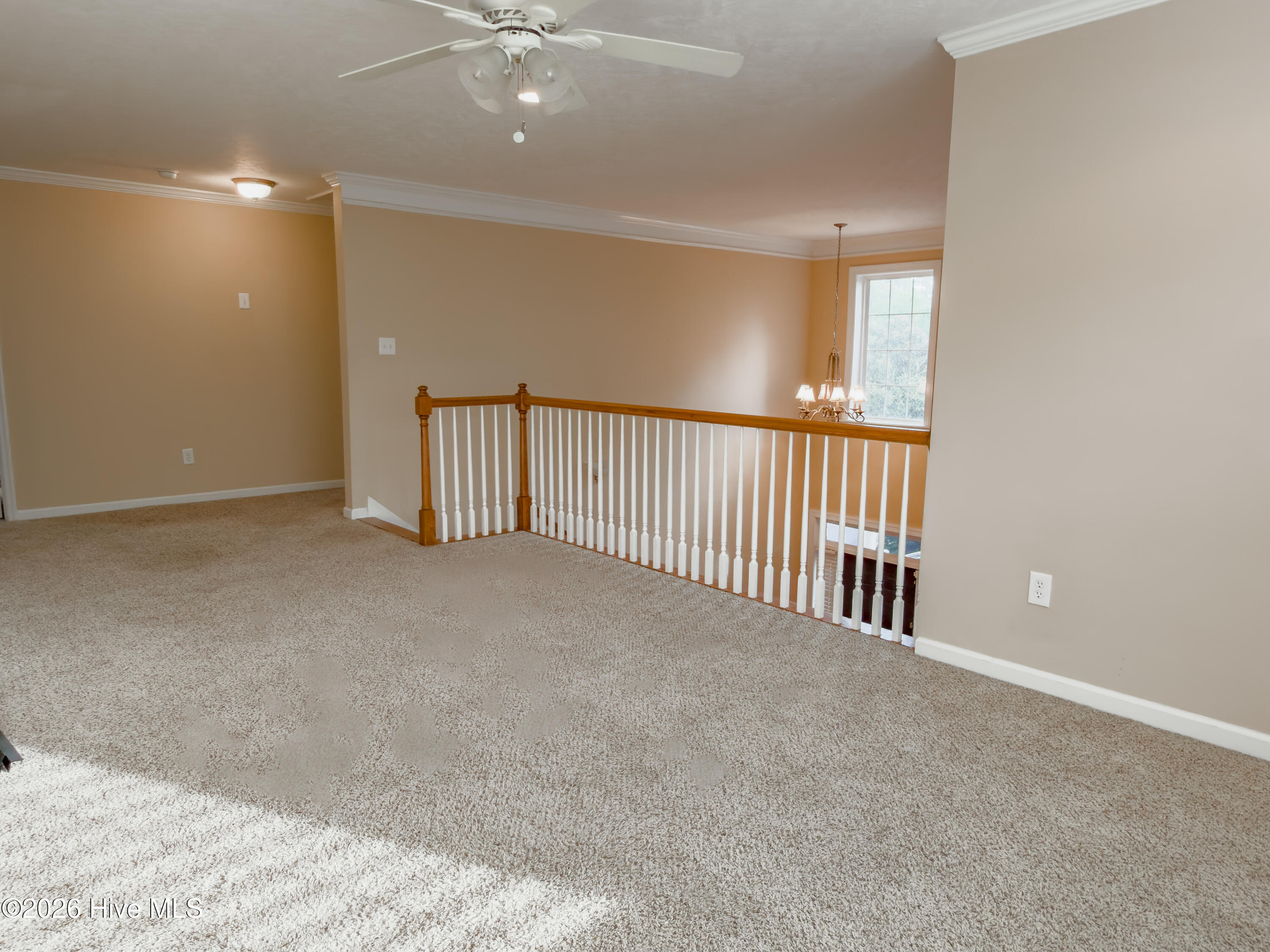 131 Coach Lane Property Photo 19