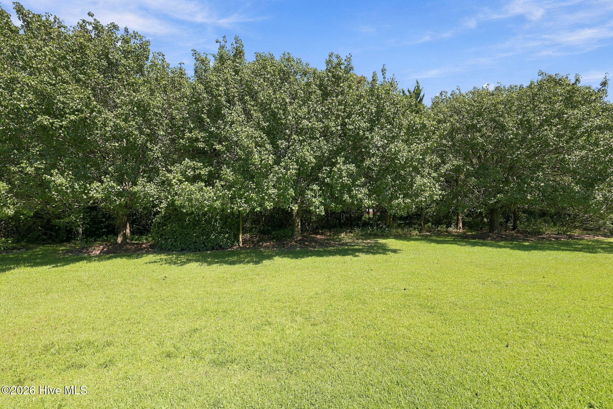 1001 Courtyard E Property Photo 36