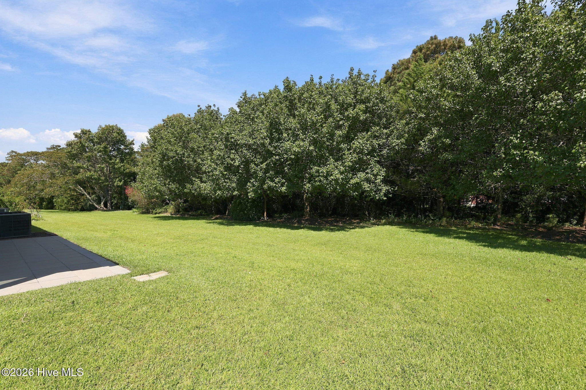 1001 Courtyard E Property Photo 37