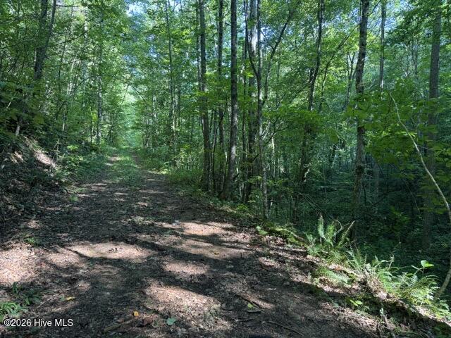 5 Tyler Lane Property Photo 1