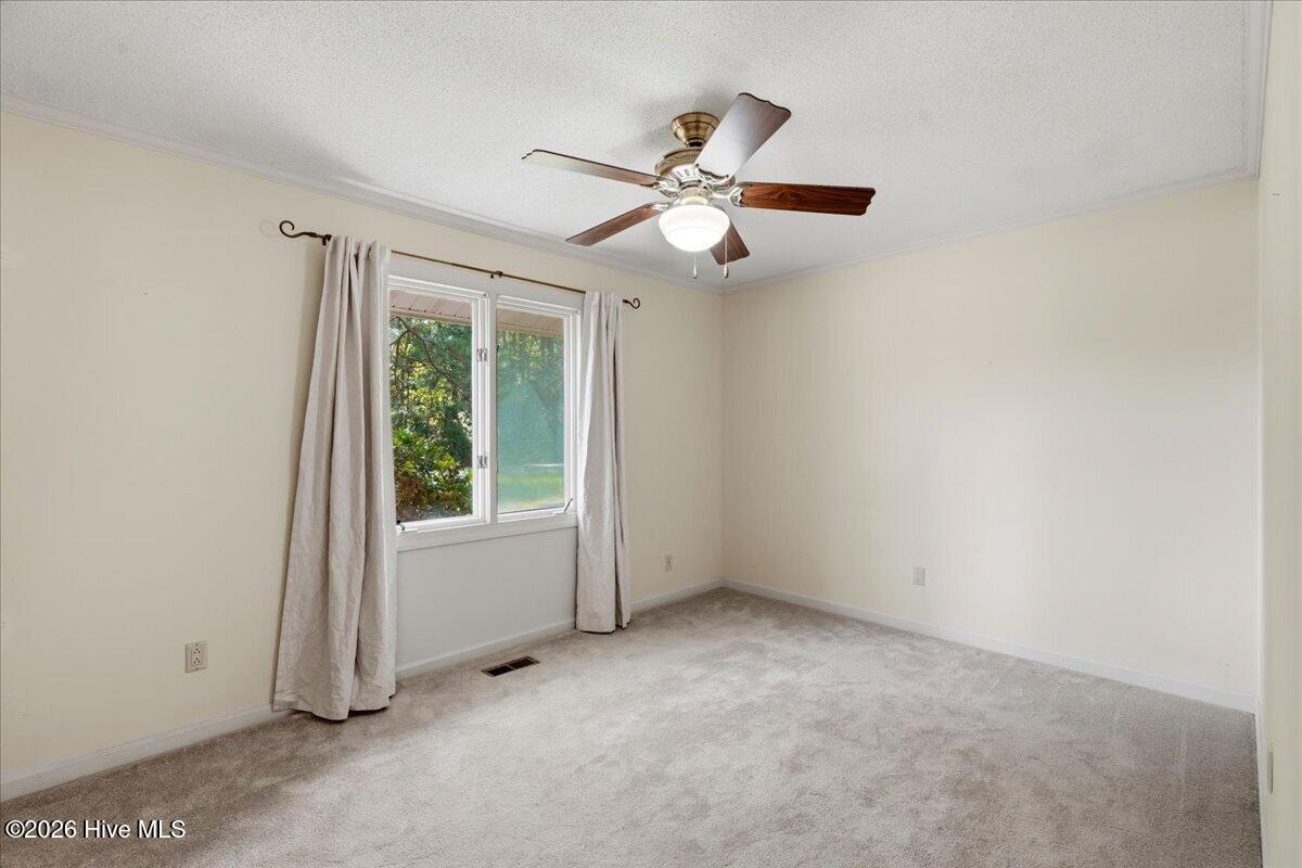 303 Mimosa Park Drive Property Photo 28