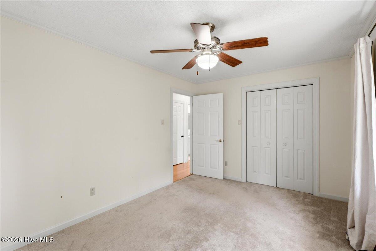 303 Mimosa Park Drive Property Photo 29