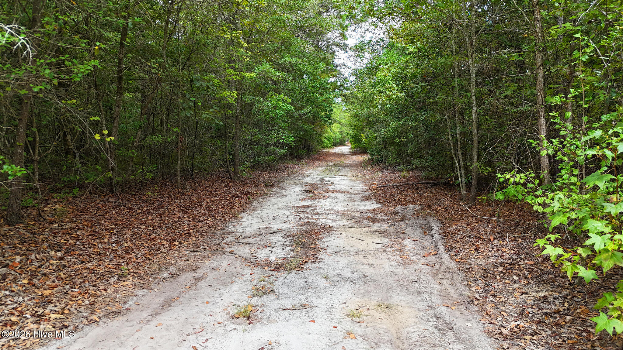 5 Bull Tail Road Property Photo 12