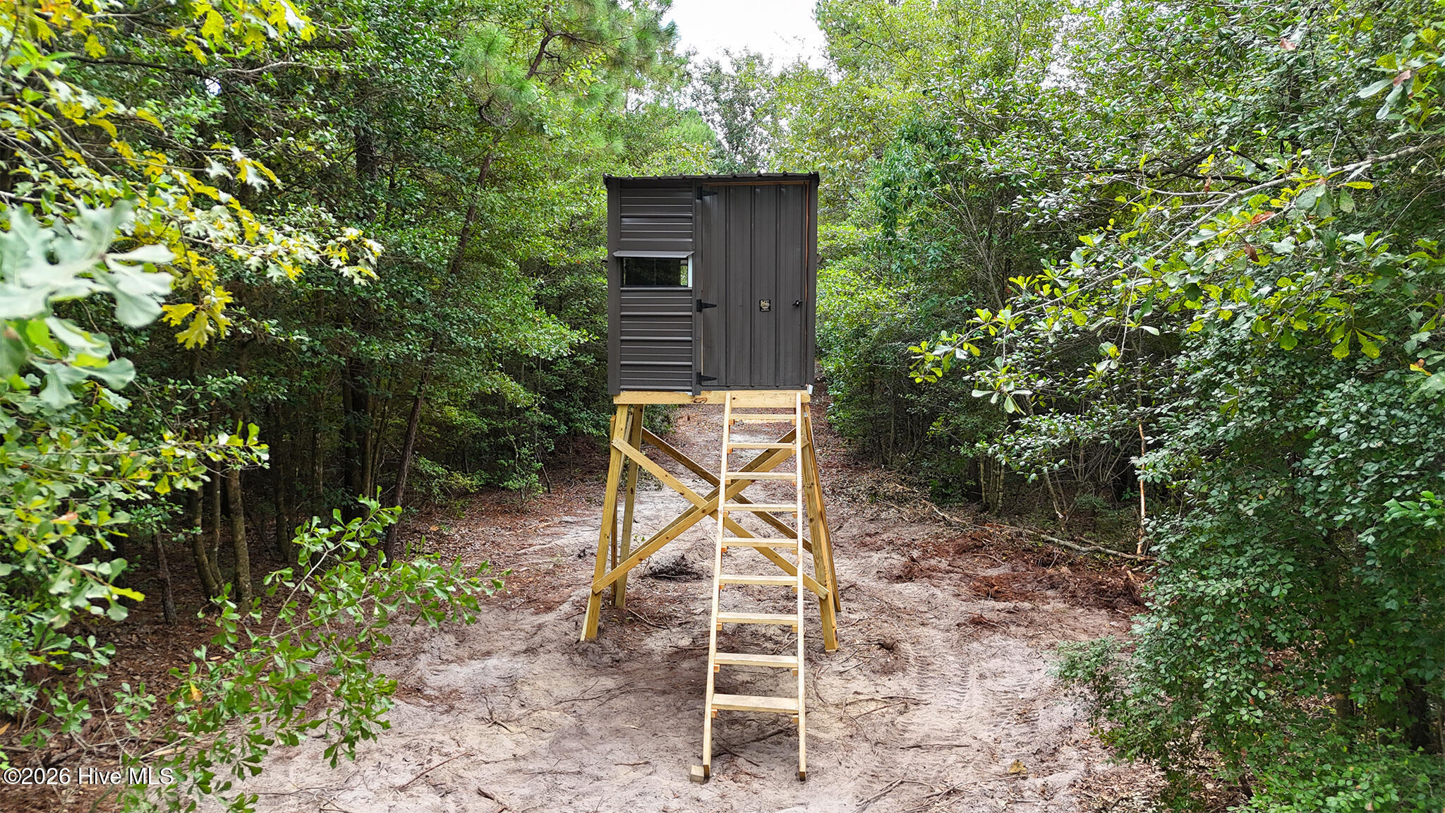 5 Bull Tail Road Property Photo 13