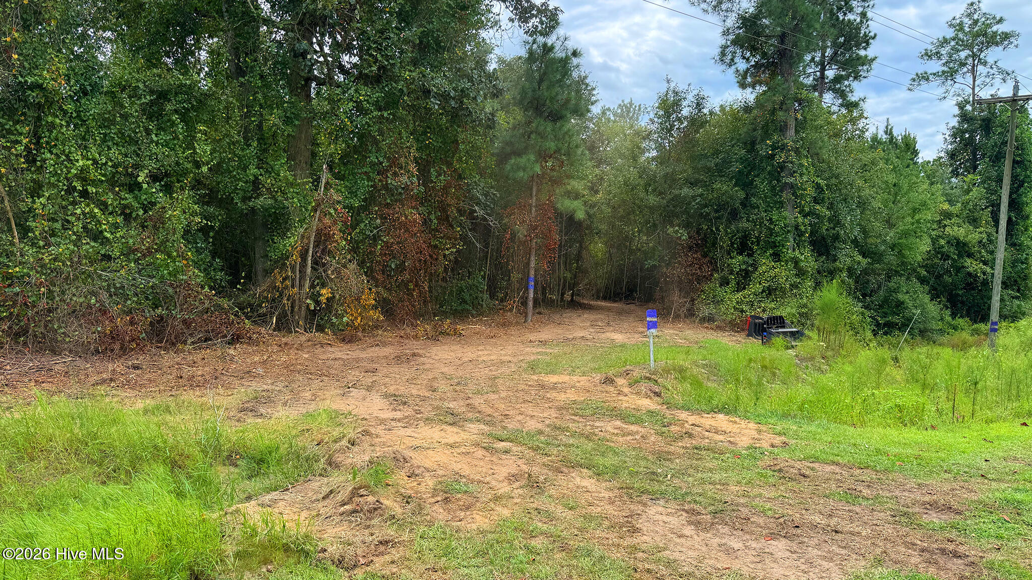 5 Bull Tail Road Property Photo 17