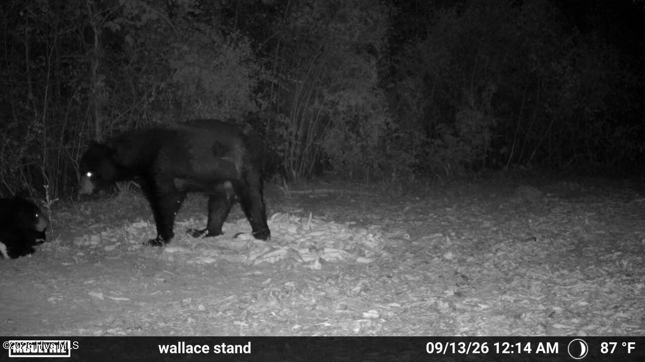 5 Bull Tail Road Property Photo 20