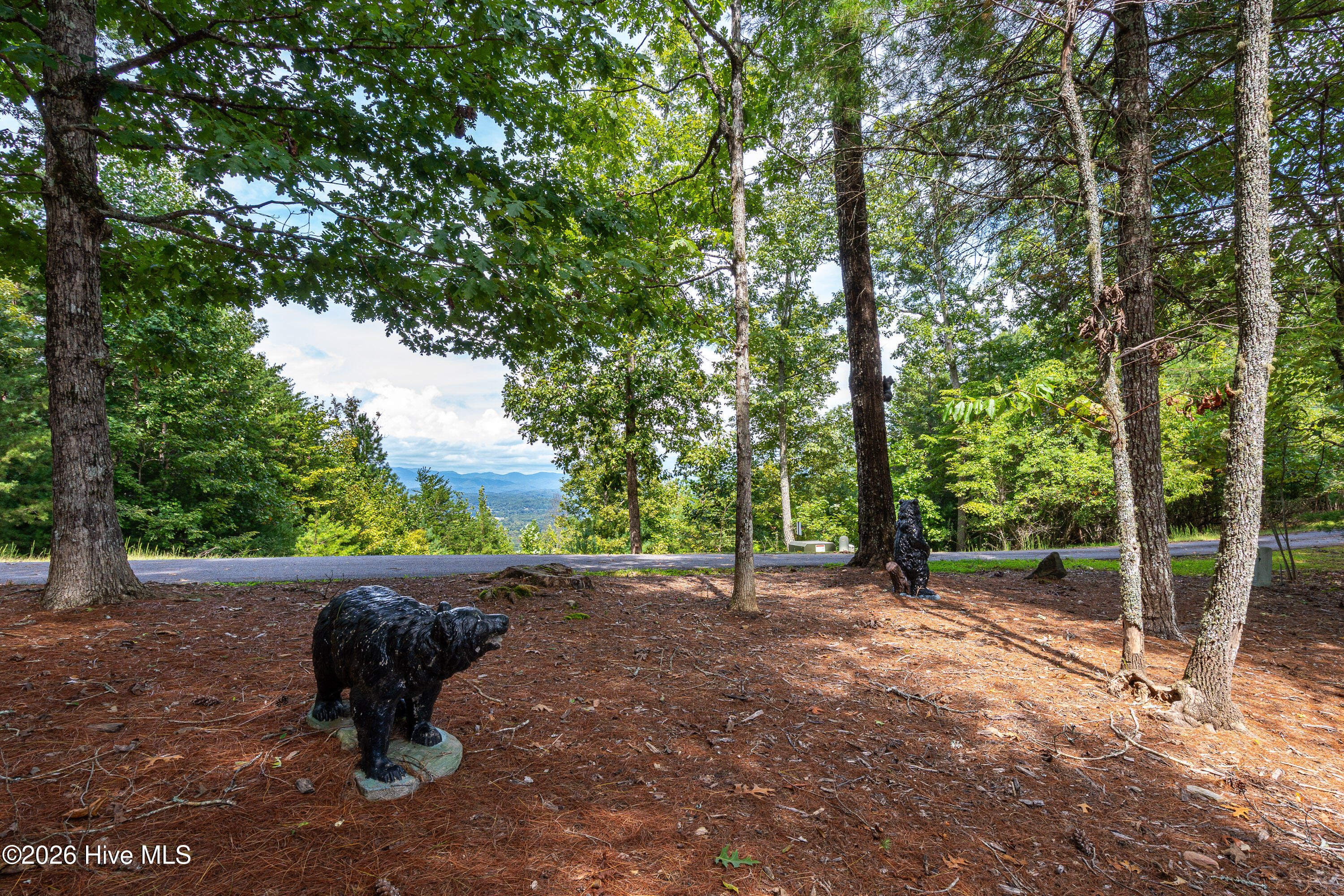 635 Brasstown View Road Property Photo 42
