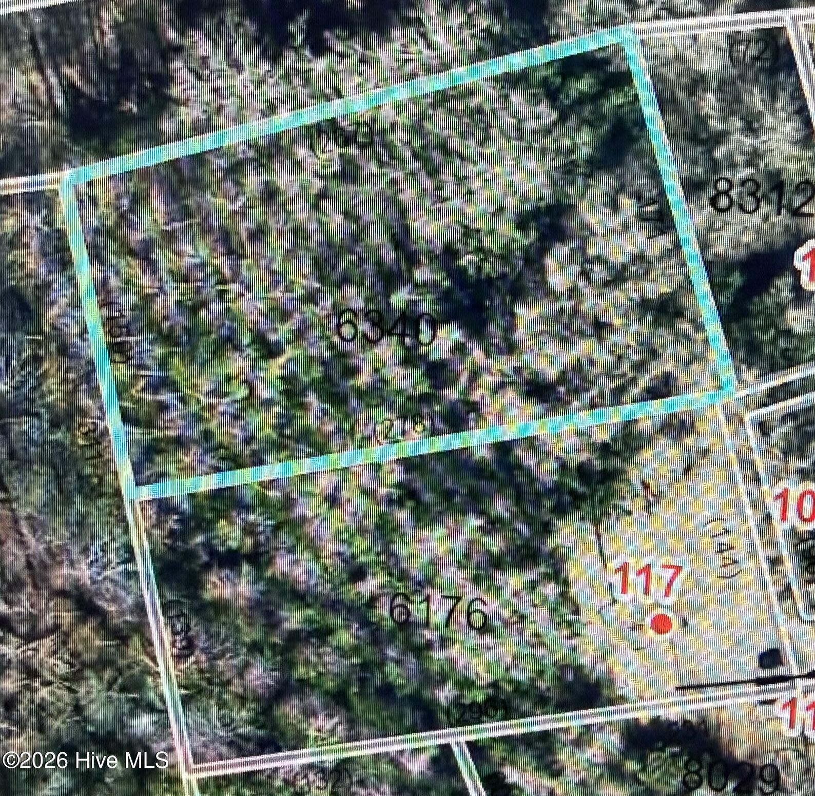 Tbd Cedar Street Property Photo 2