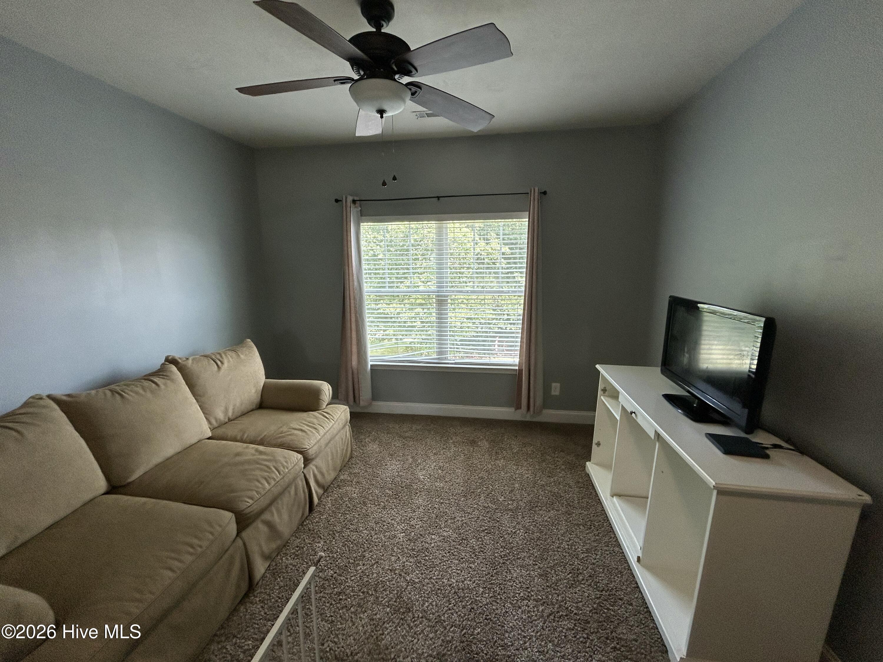 100 Dusty Court Property Photo 20