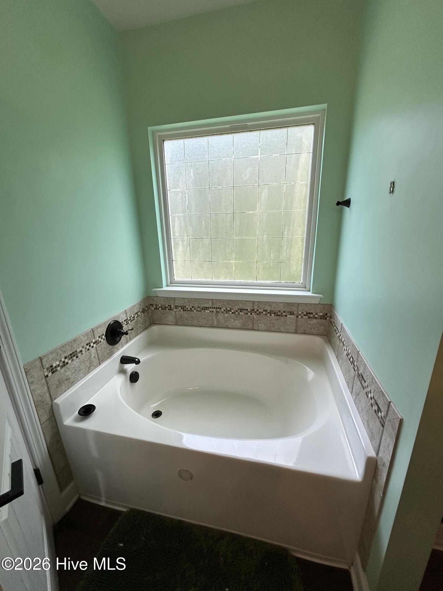 100 Dusty Court Property Photo 29