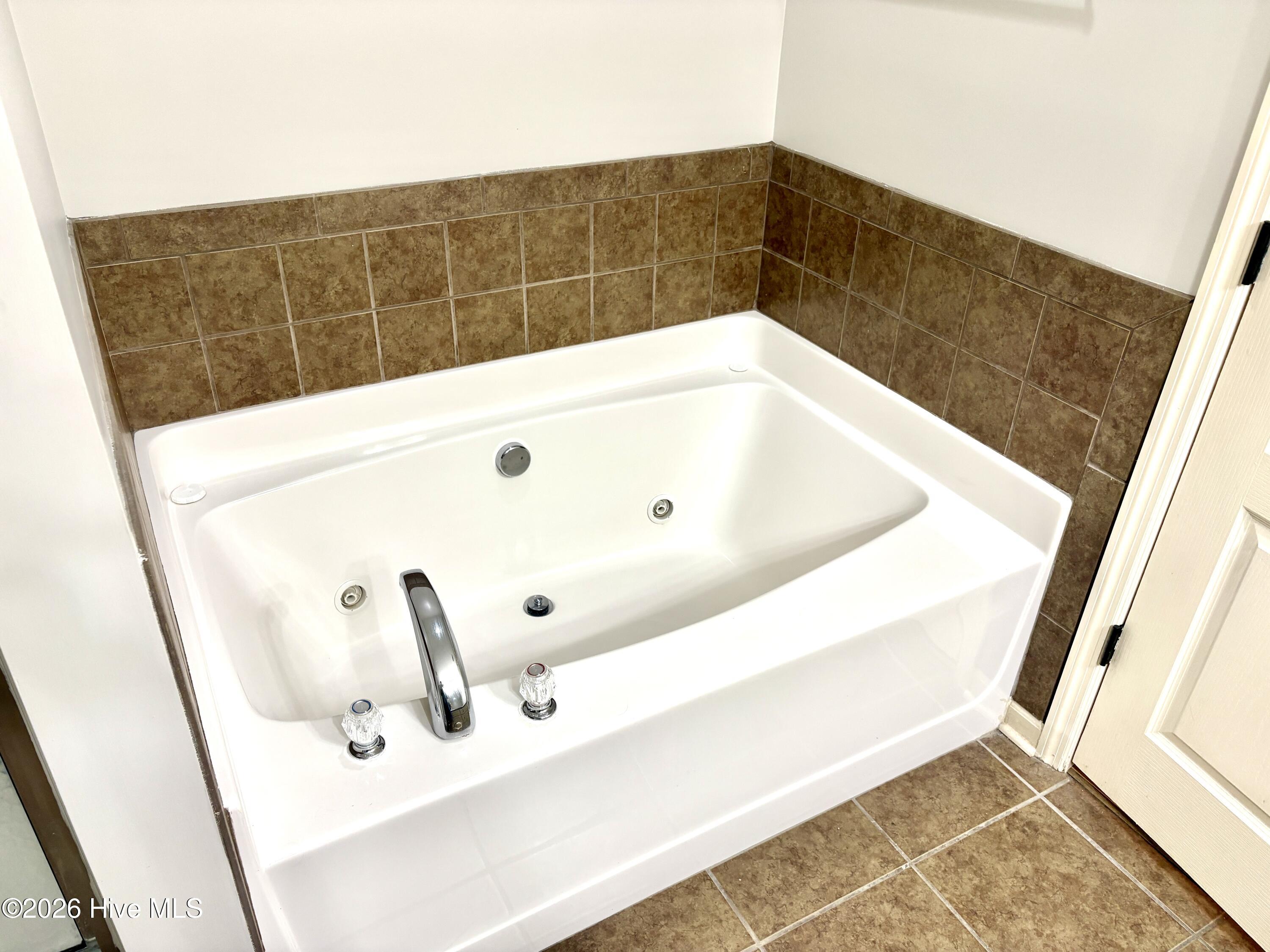 1077 Grove Landing Lane Property Photo 18