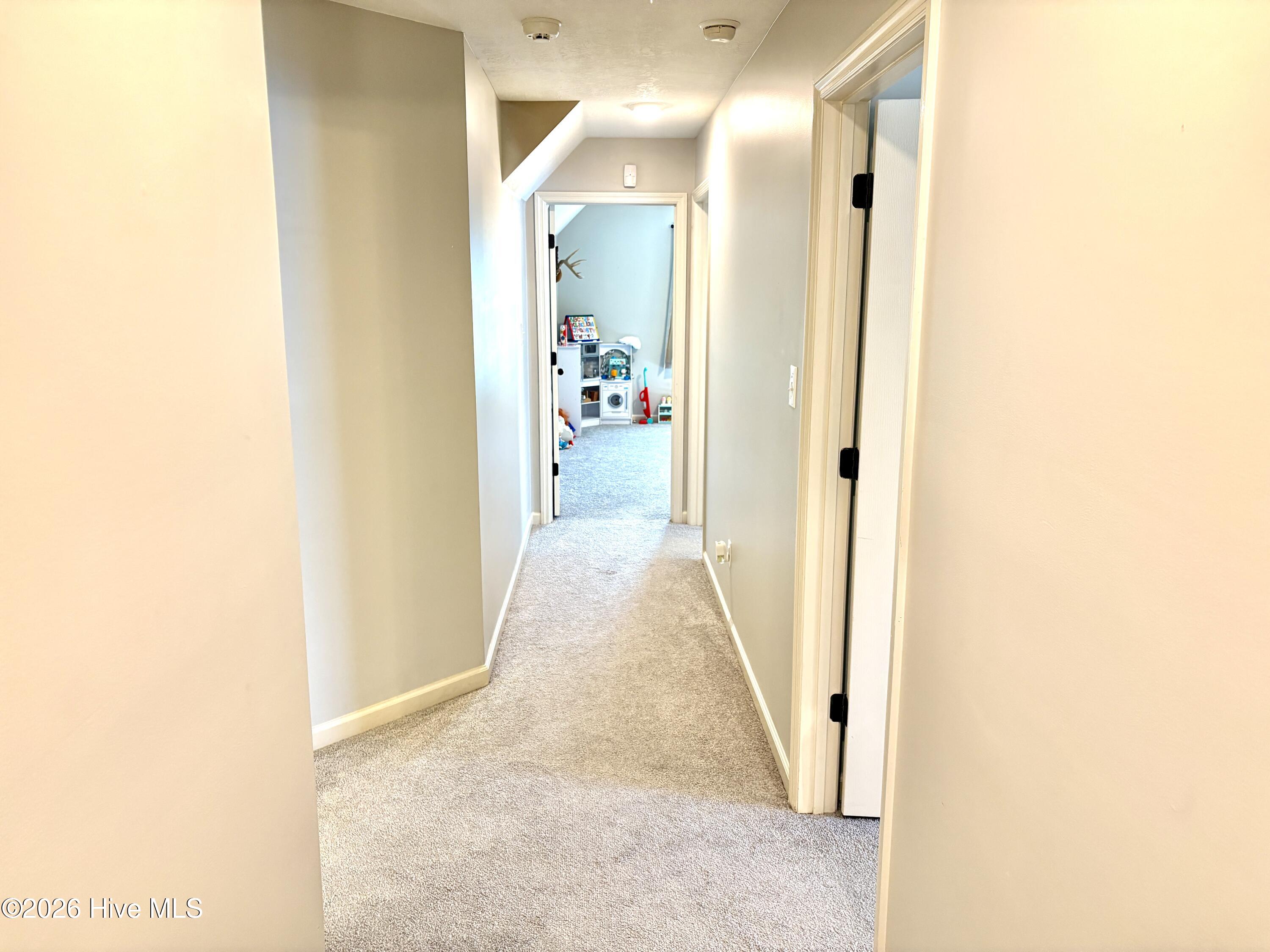 1077 Grove Landing Lane Property Photo 22