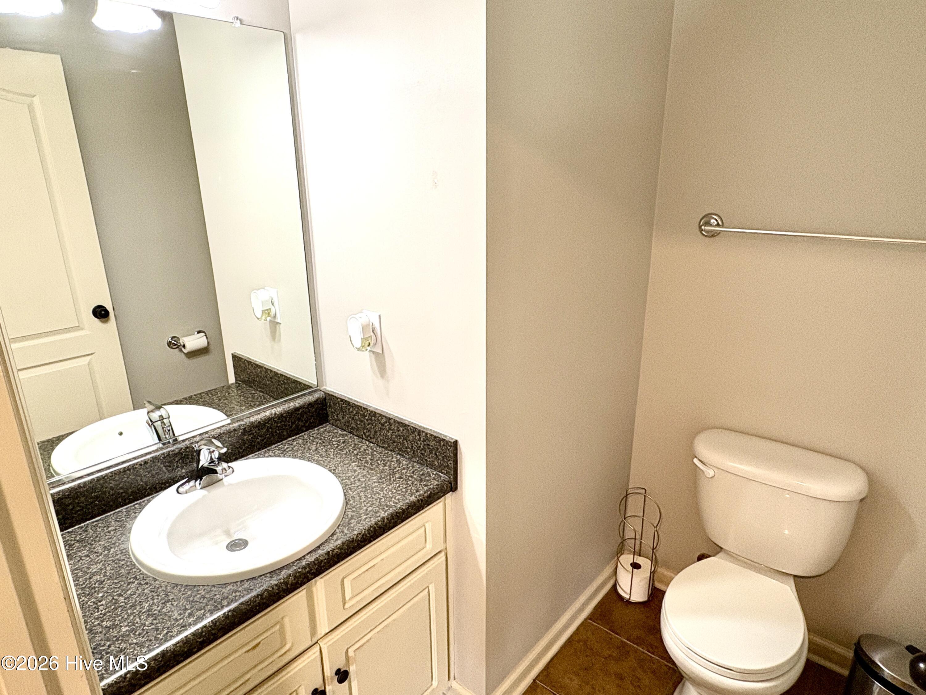 1077 Grove Landing Lane Property Photo 29