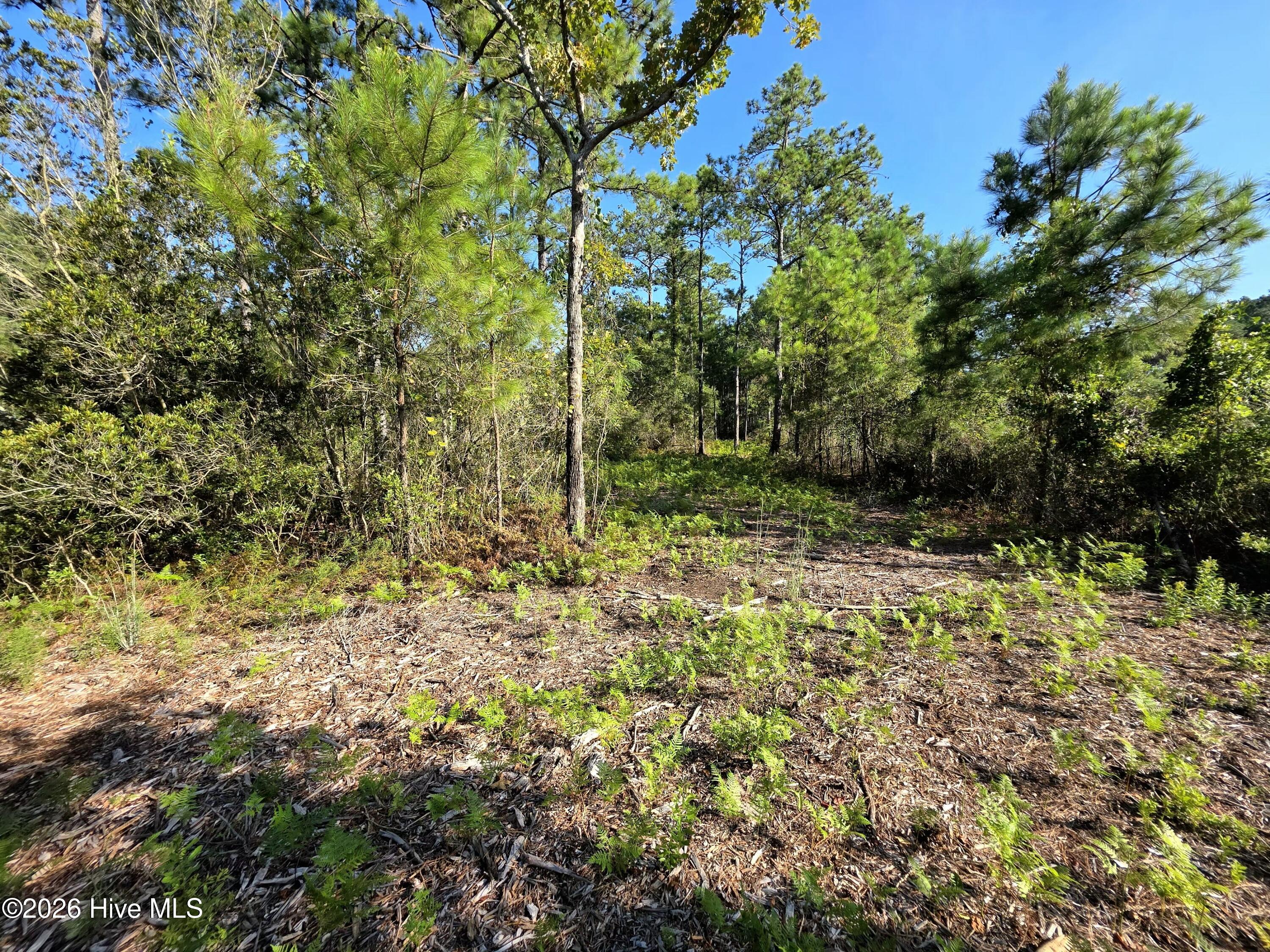 00 Mcgowan Road Property Photo 15