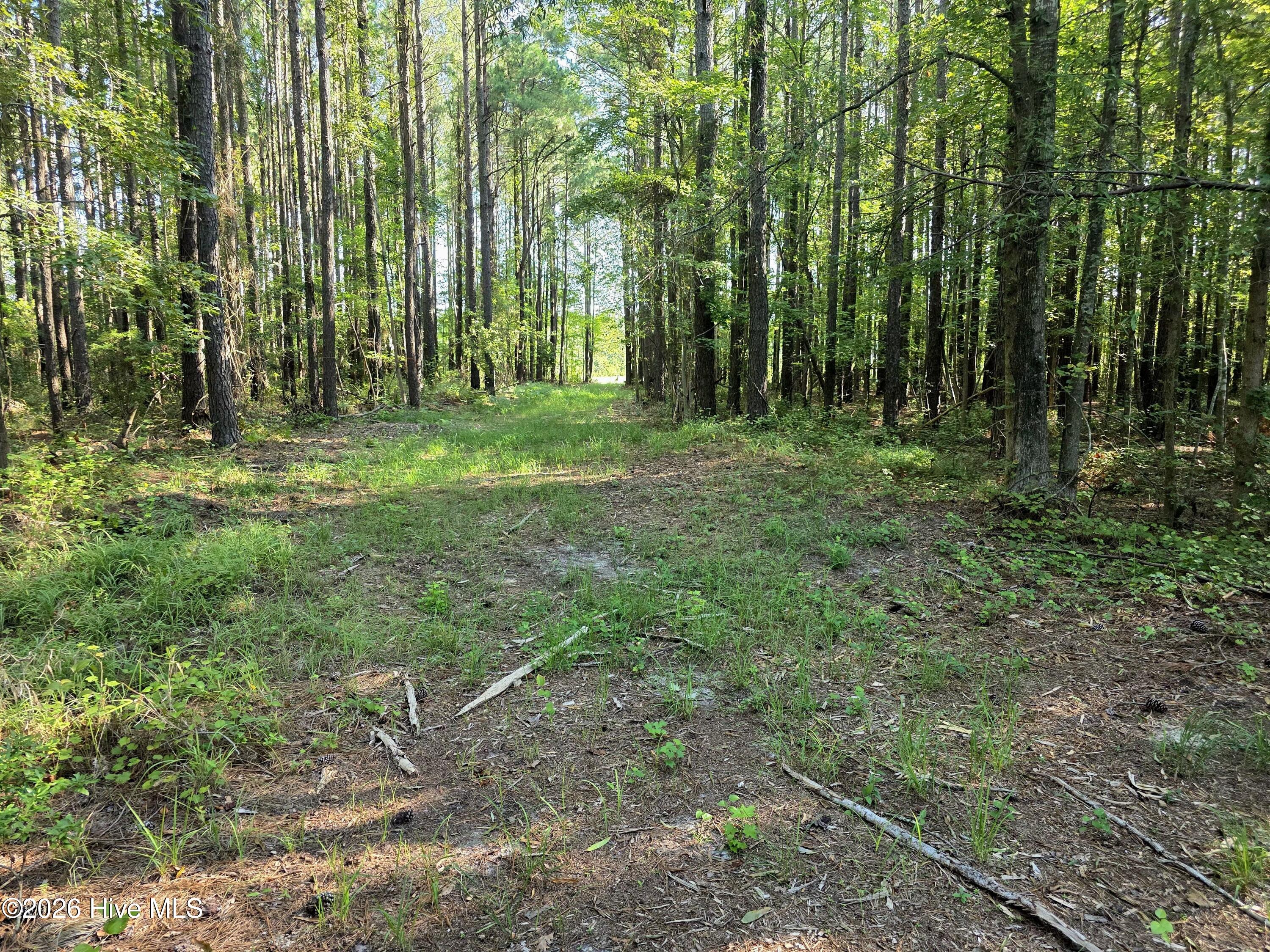 00 Mcgowan Road Property Photo 19