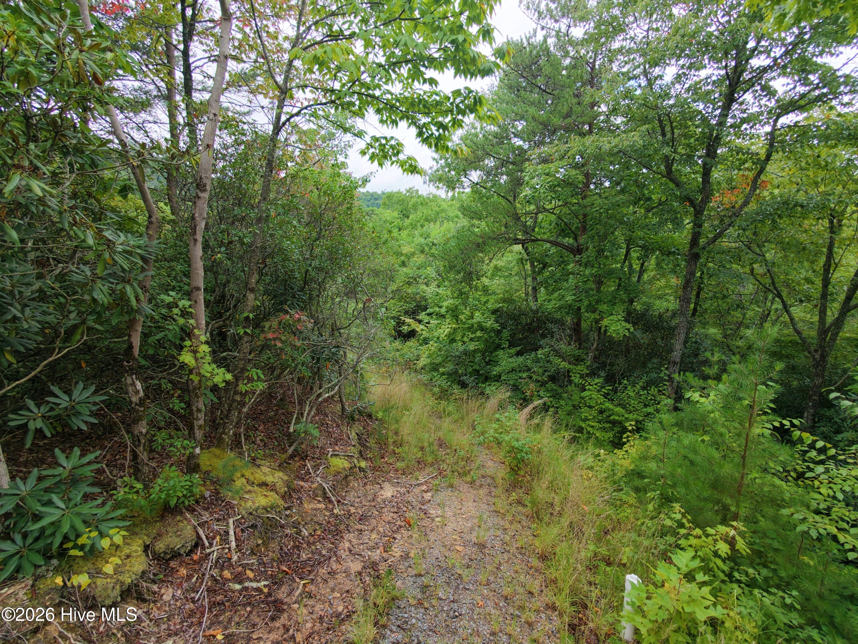 1621 Granny Squirrel Drive Property Photo 2