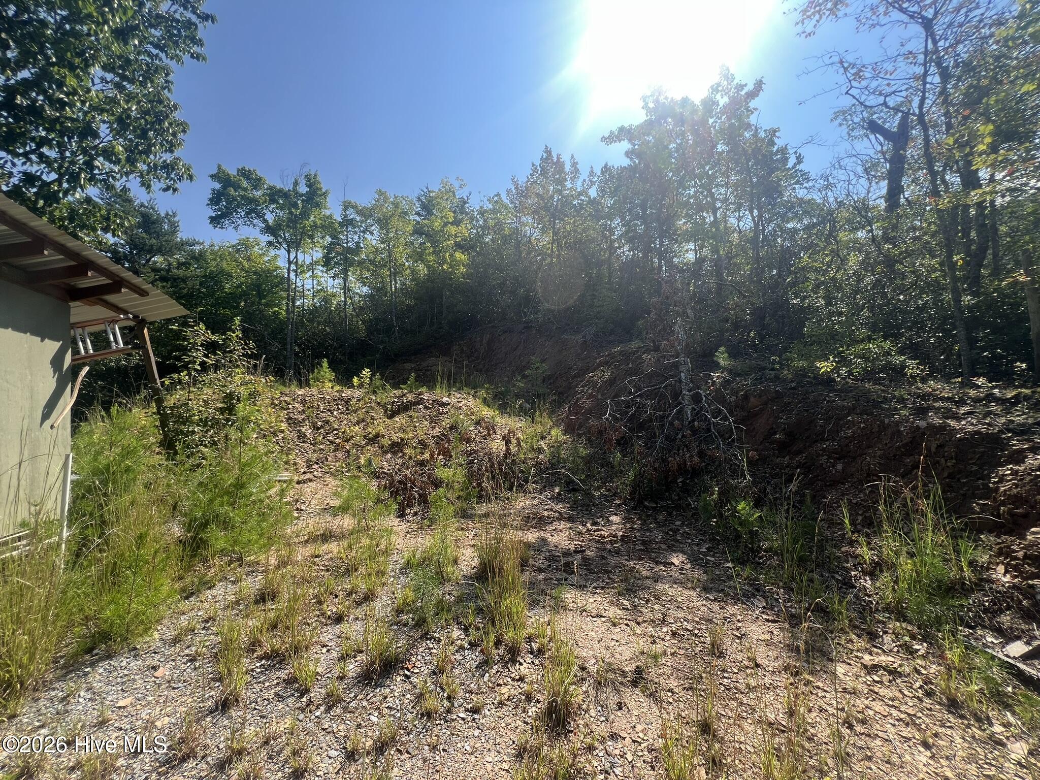1621 Granny Squirrel Drive Property Photo 4