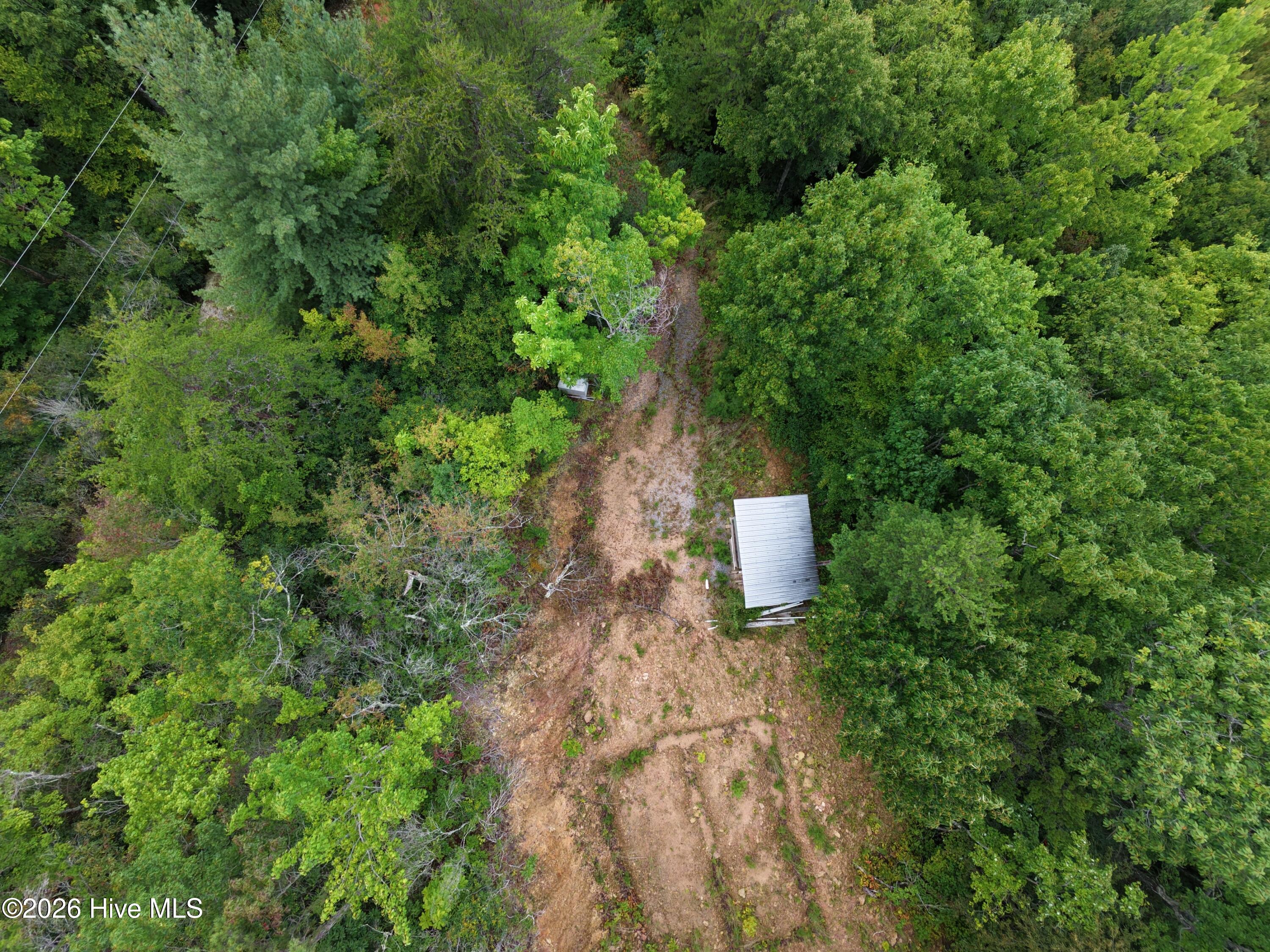 1621 Granny Squirrel Drive Property Photo 5