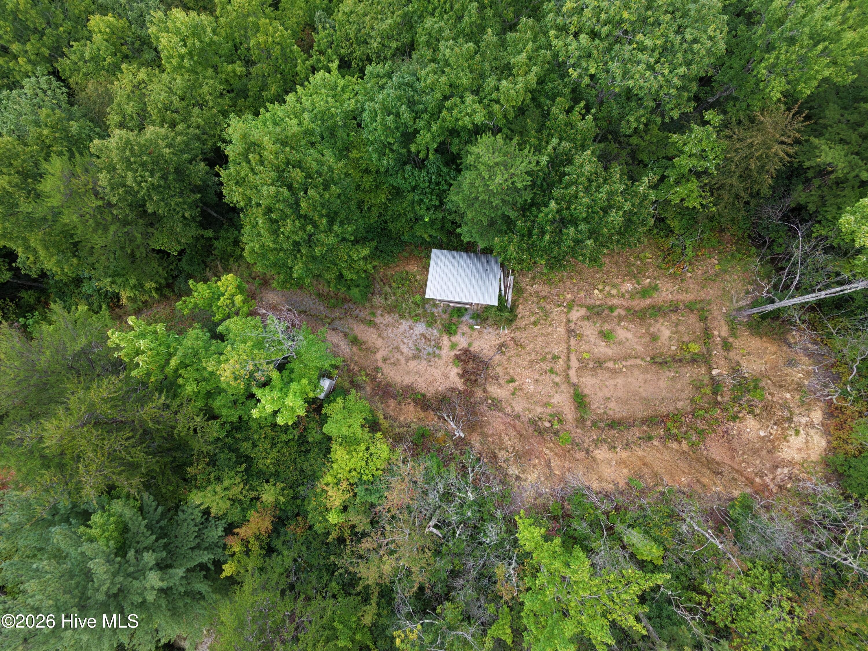1621 Granny Squirrel Drive Property Photo 6