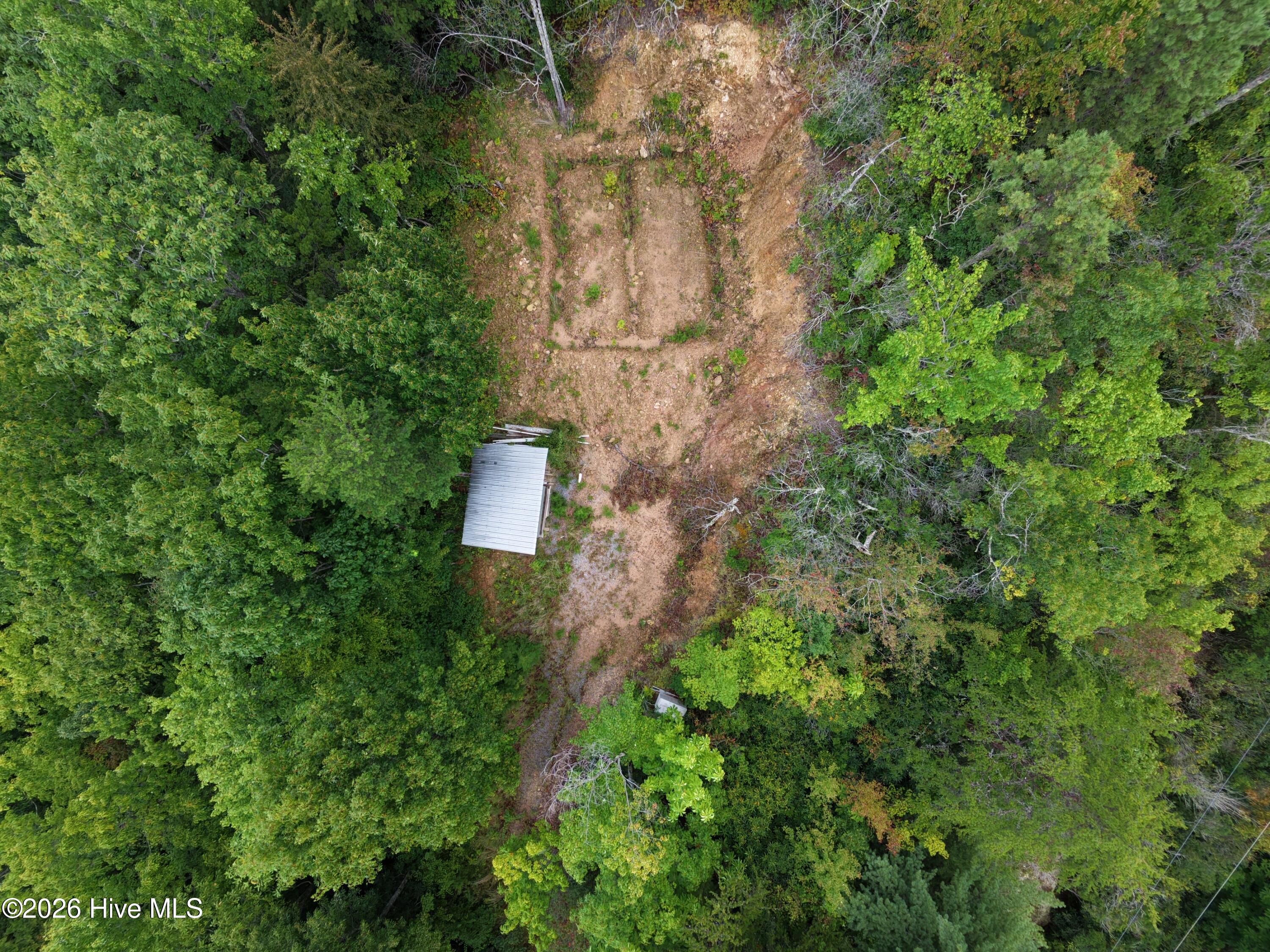 1621 Granny Squirrel Drive Property Photo 7