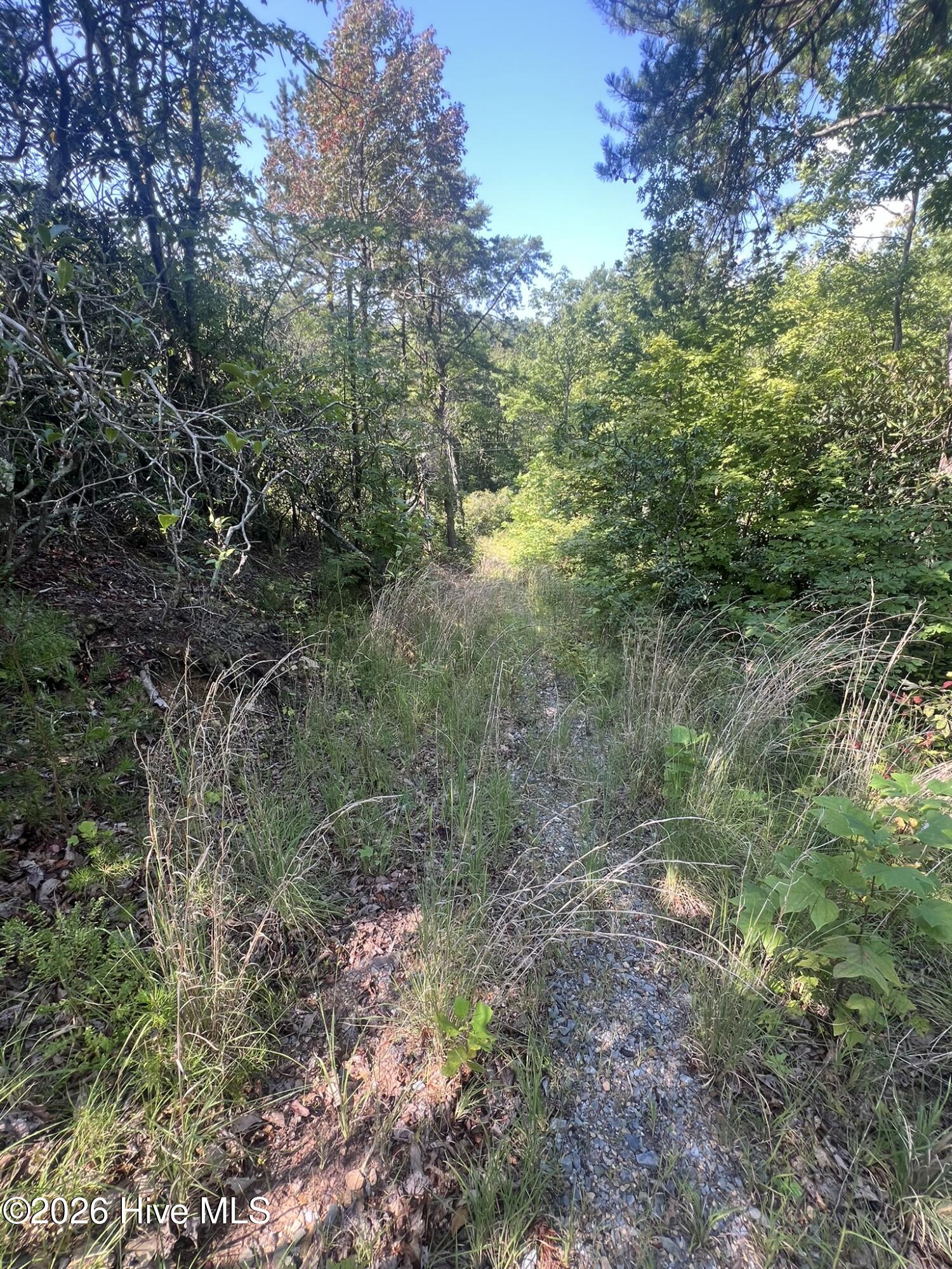 1621 Granny Squirrel Drive Property Photo 11