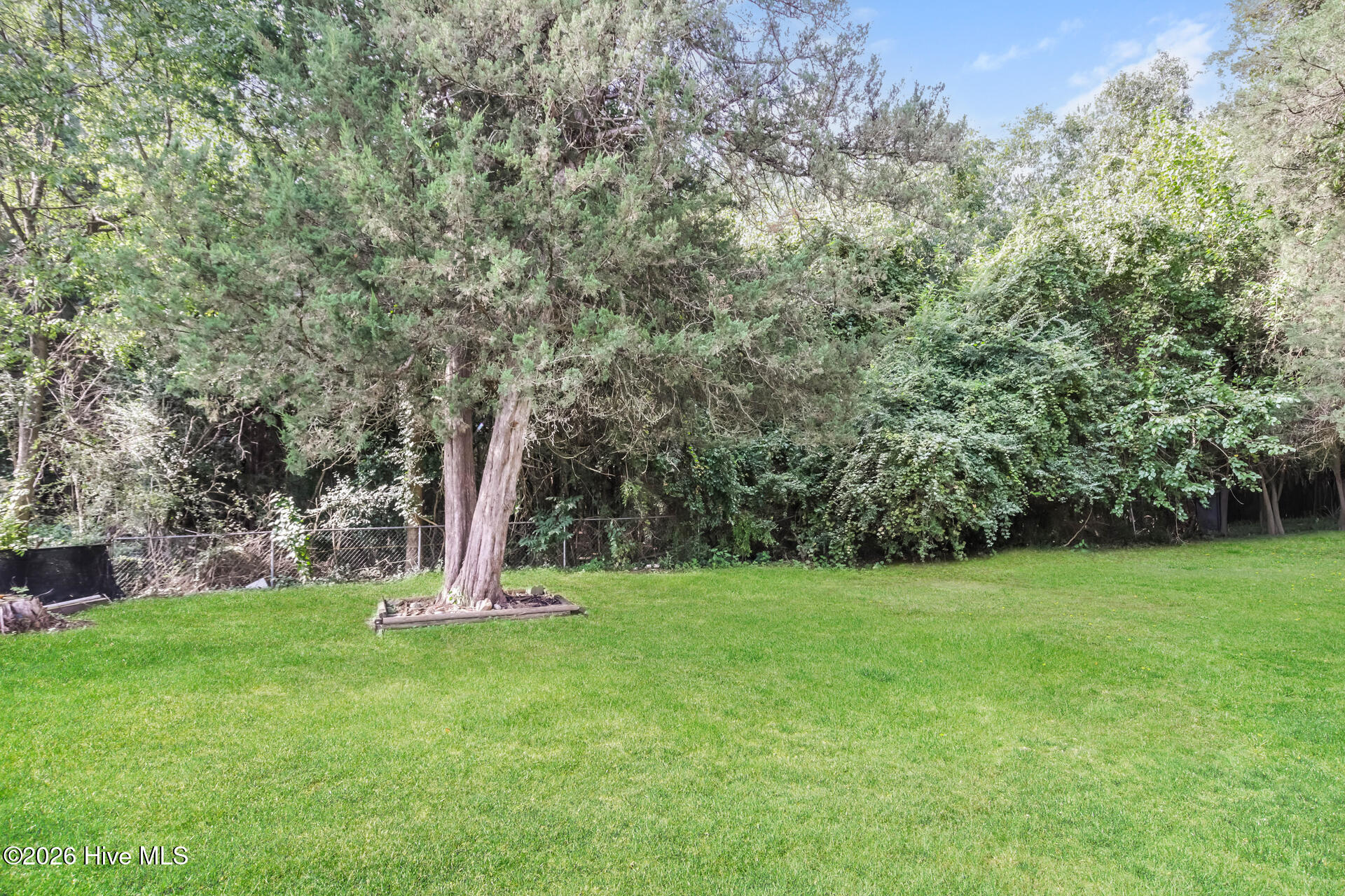 1117 Brownview Drive Property Photo 20