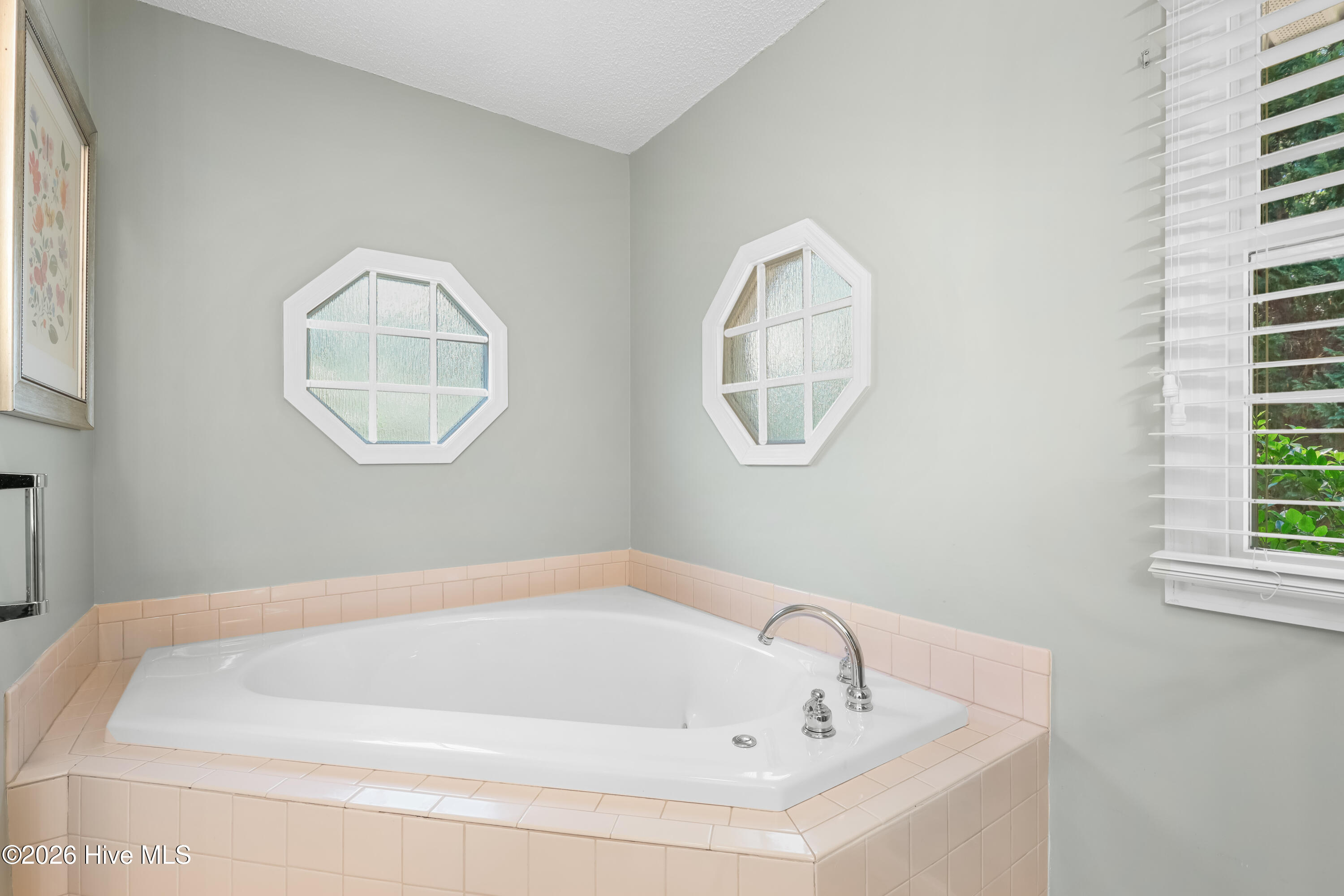 103 Steeplechase Way Property Photo 26
