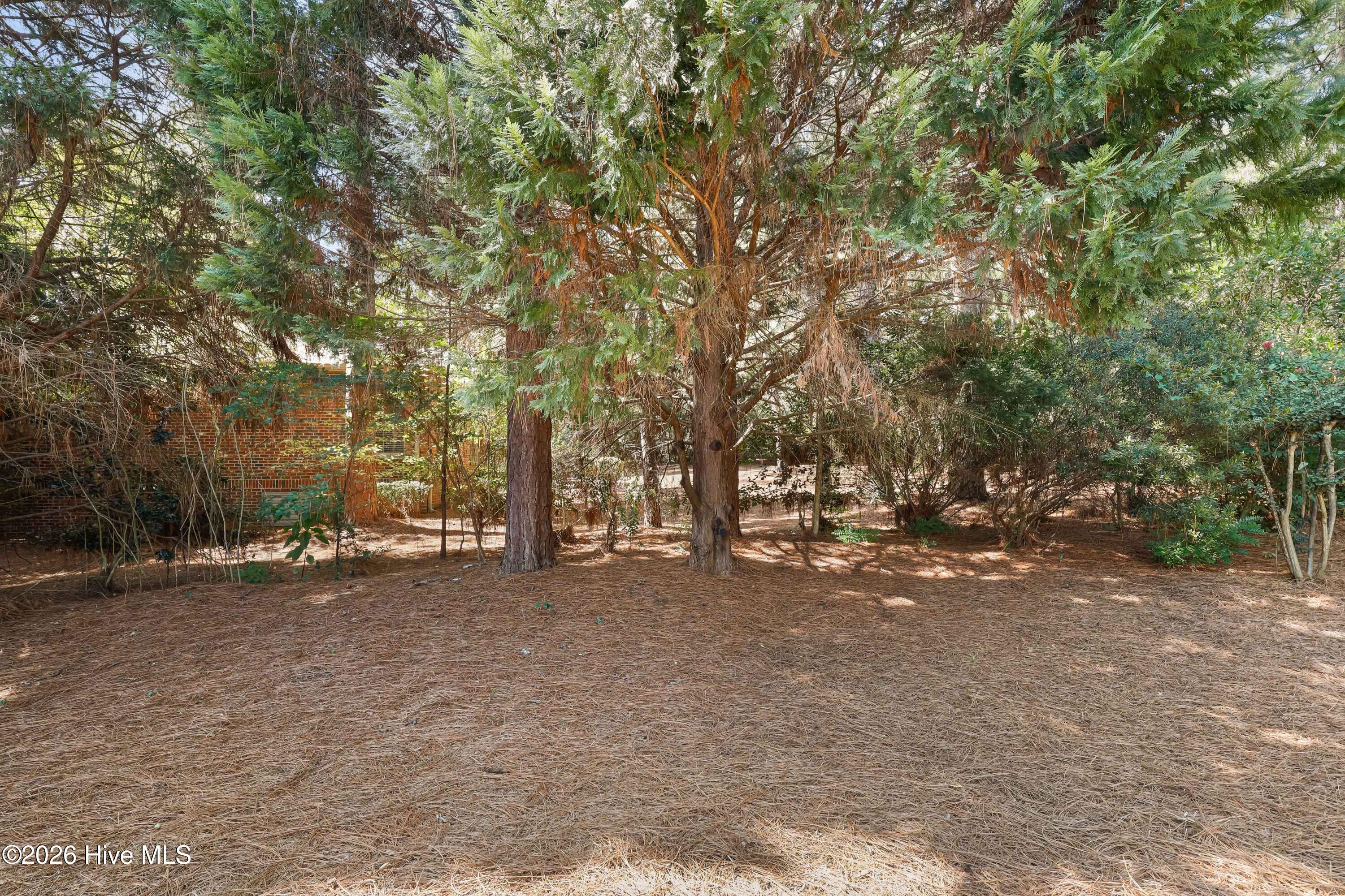 103 Steeplechase Way Property Photo 39