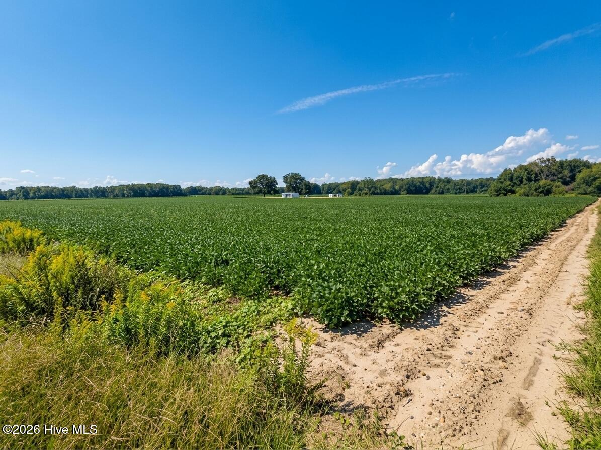 Lot 5 Red Oak Battleboro Road Property Photo 3