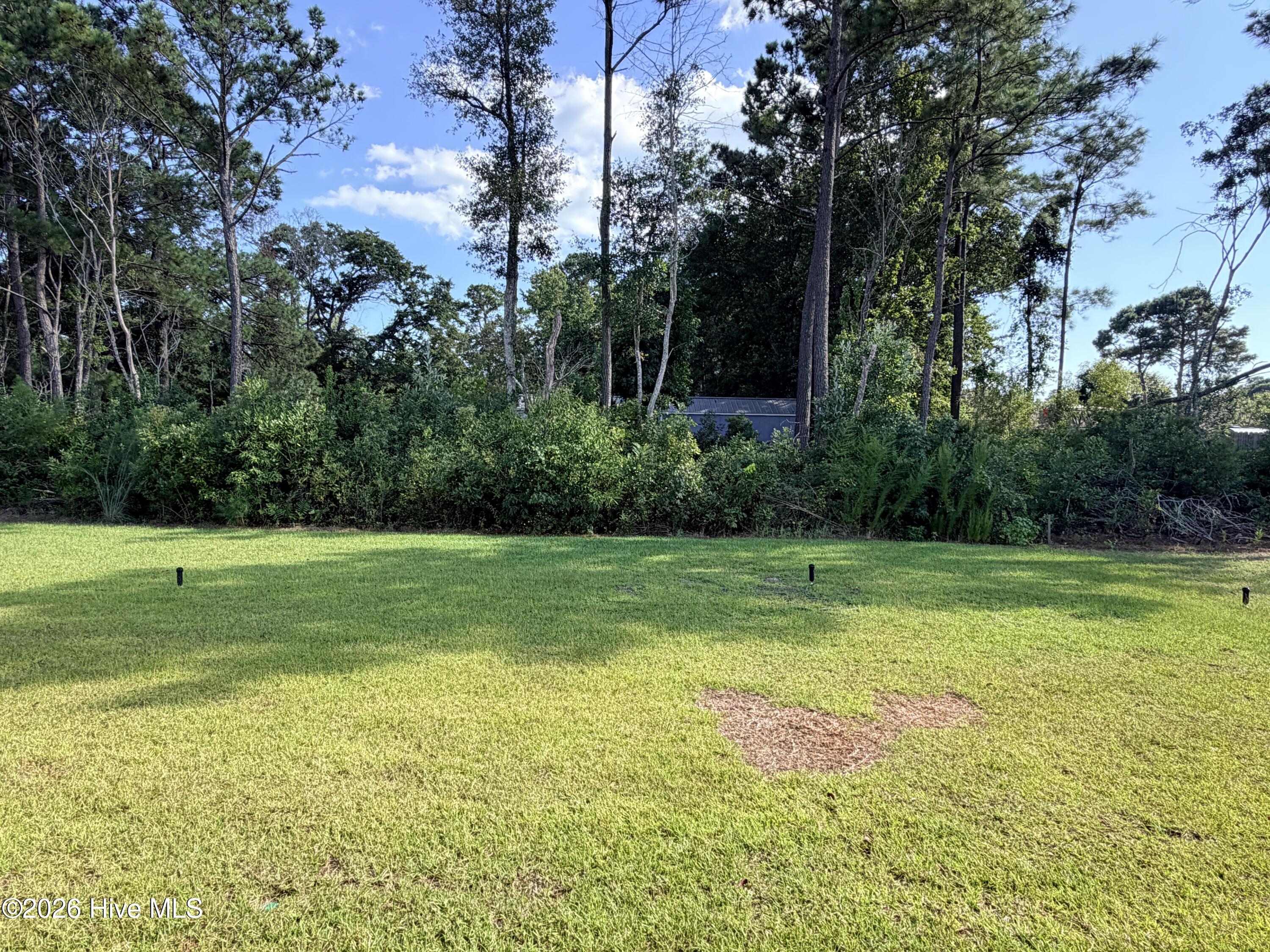 3483 Sandhill Crane Drive Sw Litchfield Il Lot 19 Property Photo 9