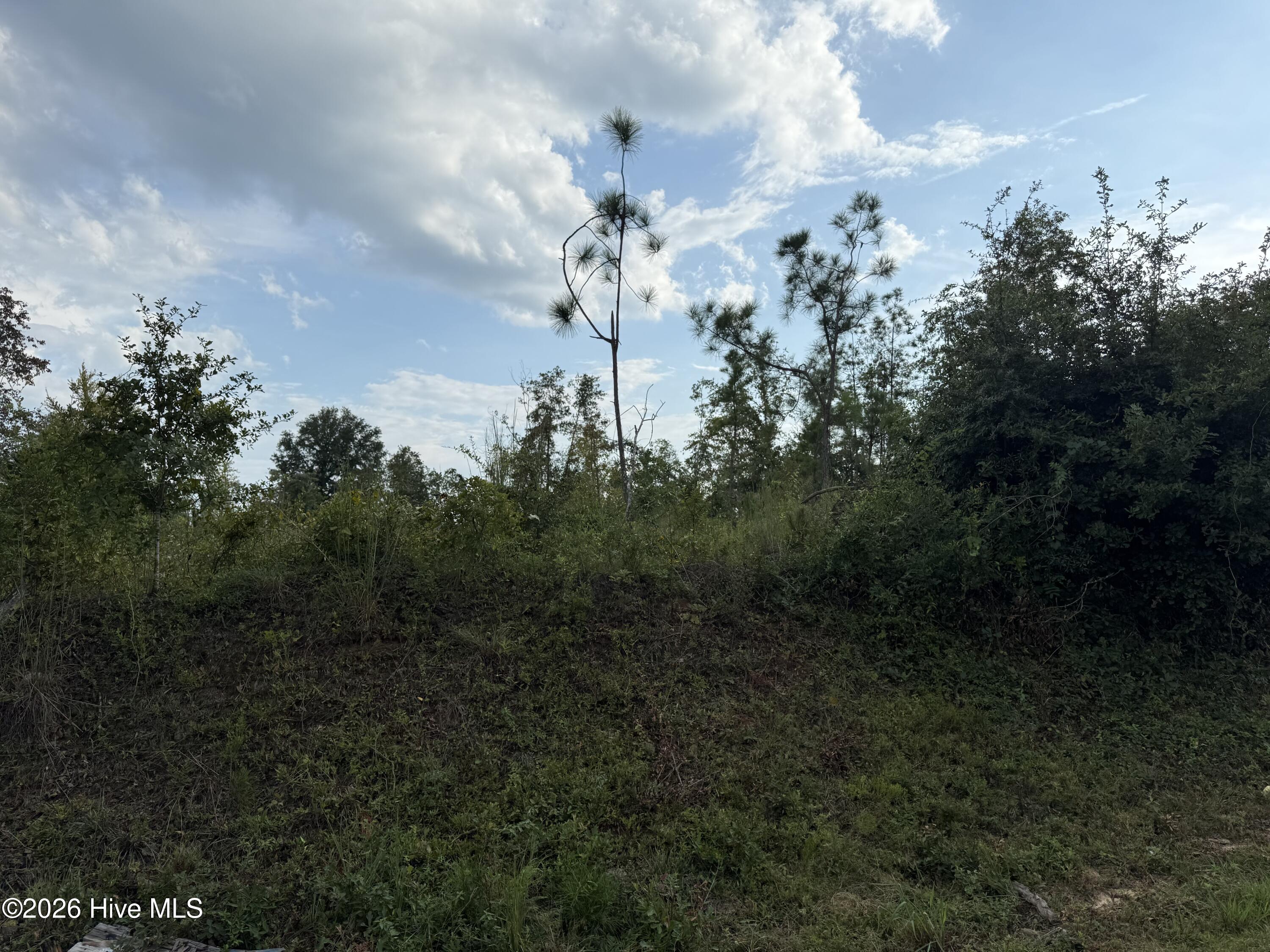 1576 Hephzibah - Mcbean Road Property Photo 2