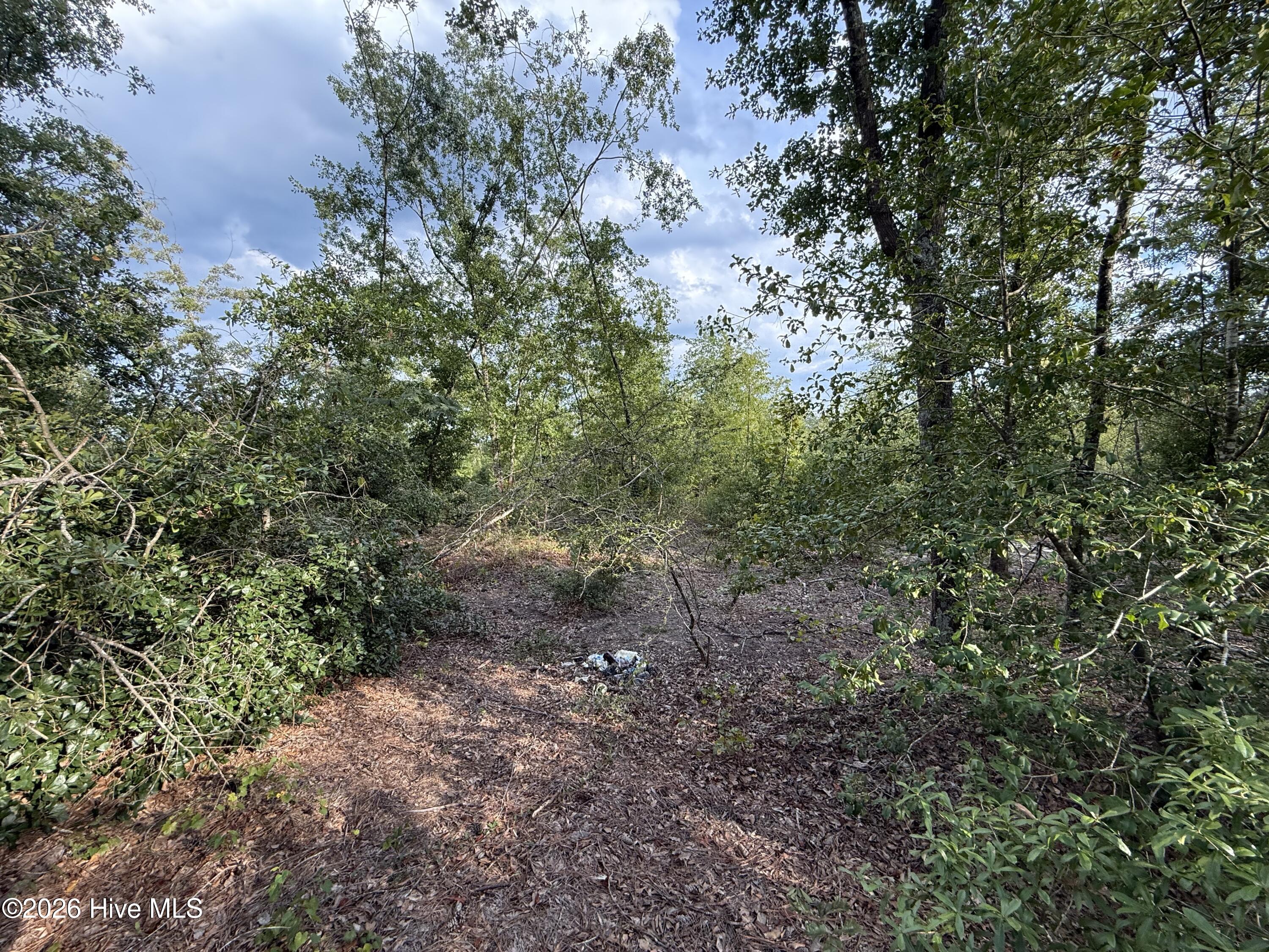 1576 Hephzibah - Mcbean Road Property Photo 3