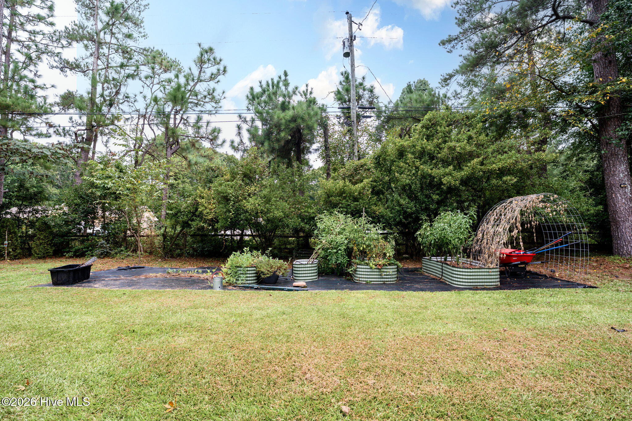 101 Boyd Lane Property Photo 45