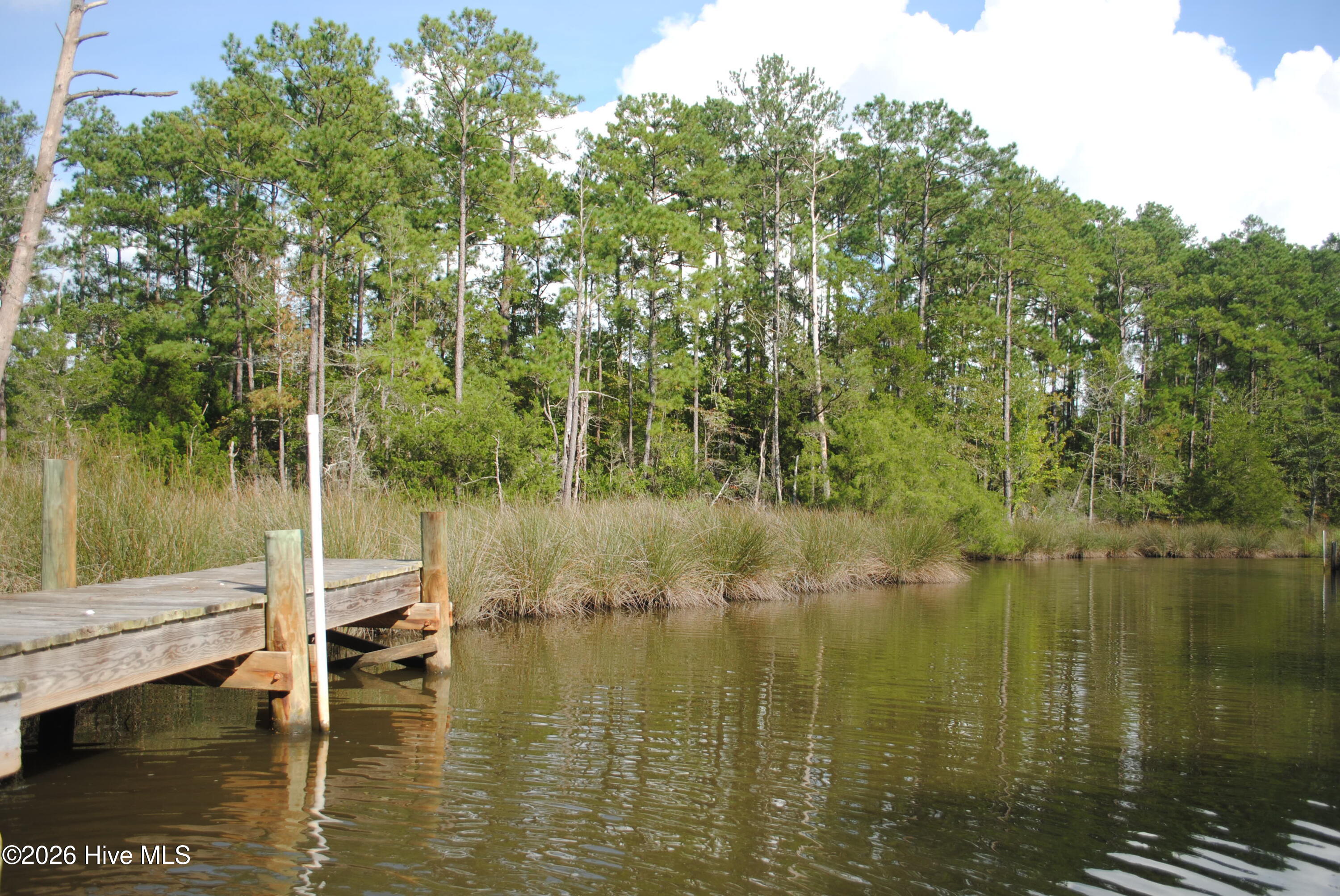 1402 Lynchs Beach Loop Road Property Photo 3