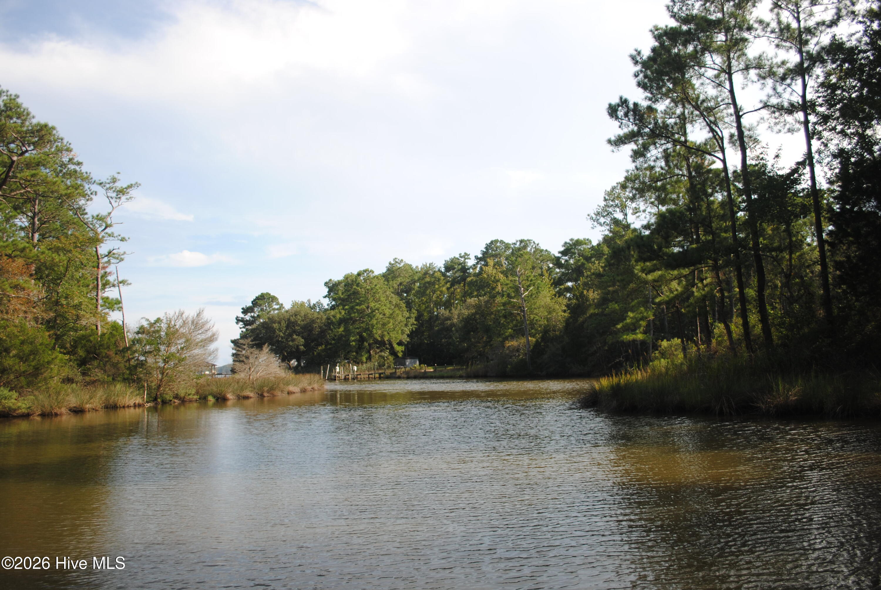 1402 Lynchs Beach Loop Road Property Photo 20