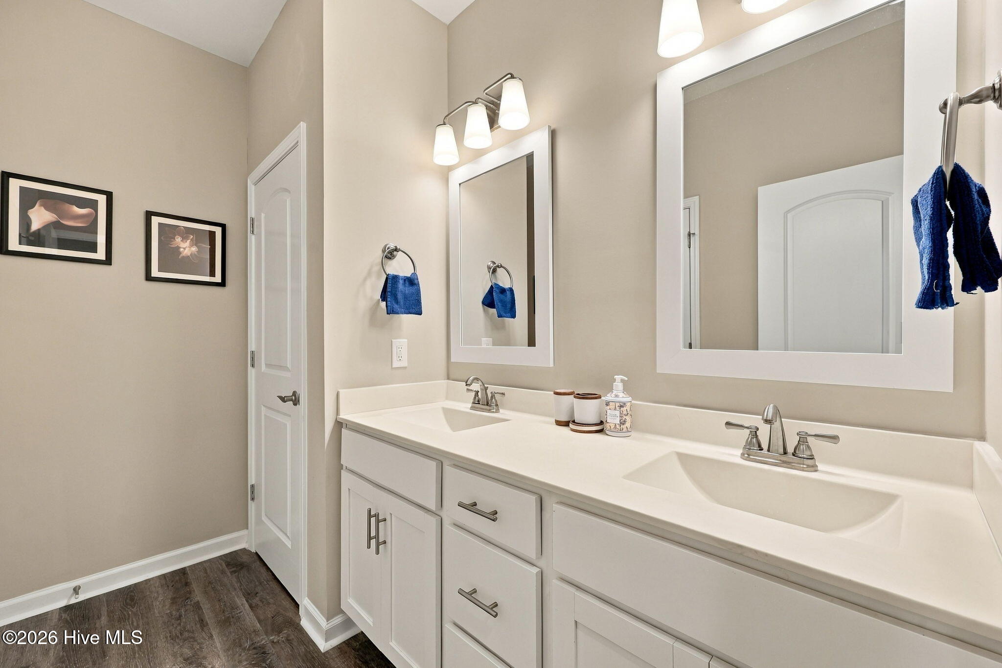 252 Great Egret Way Property Photo 49