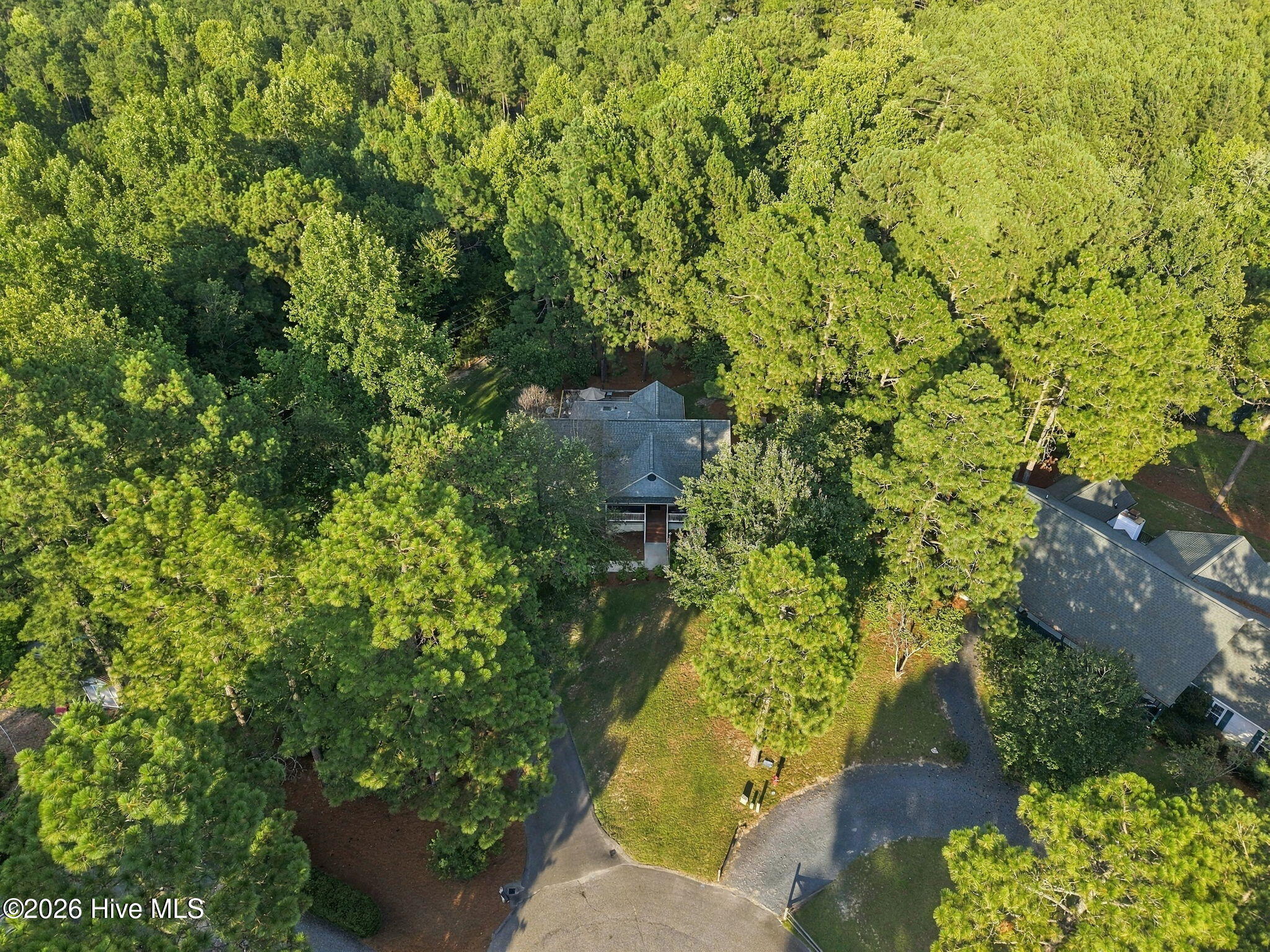 135 Pinesage Drive Property Photo 6