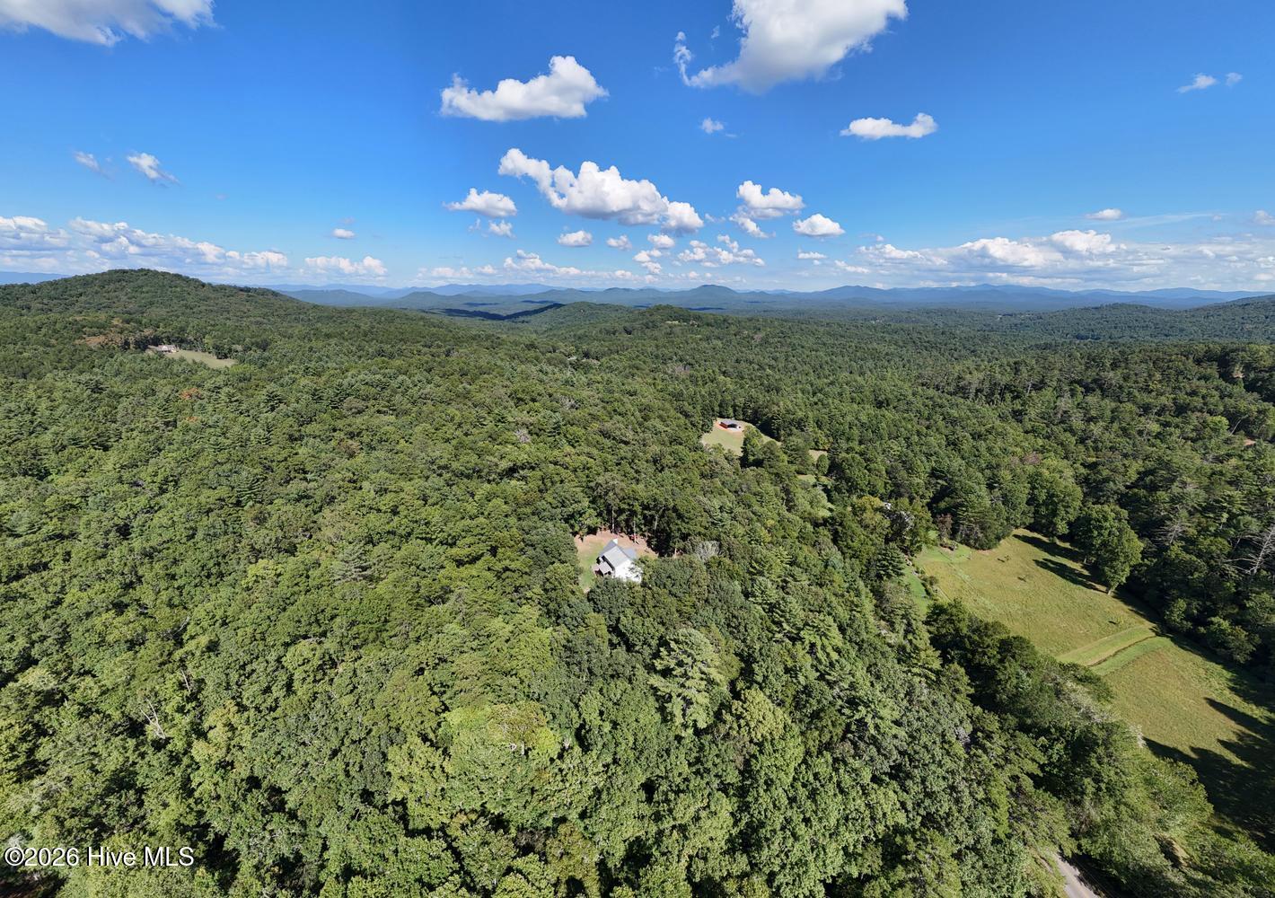 1341 Mull Road Property Photo 56