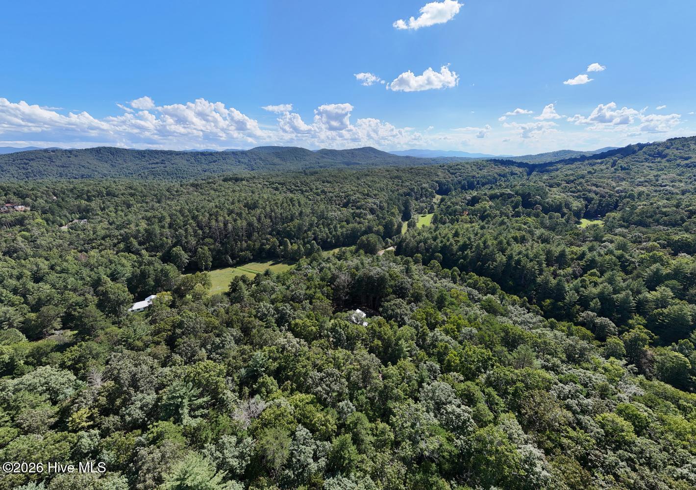1341 Mull Road Property Photo 57