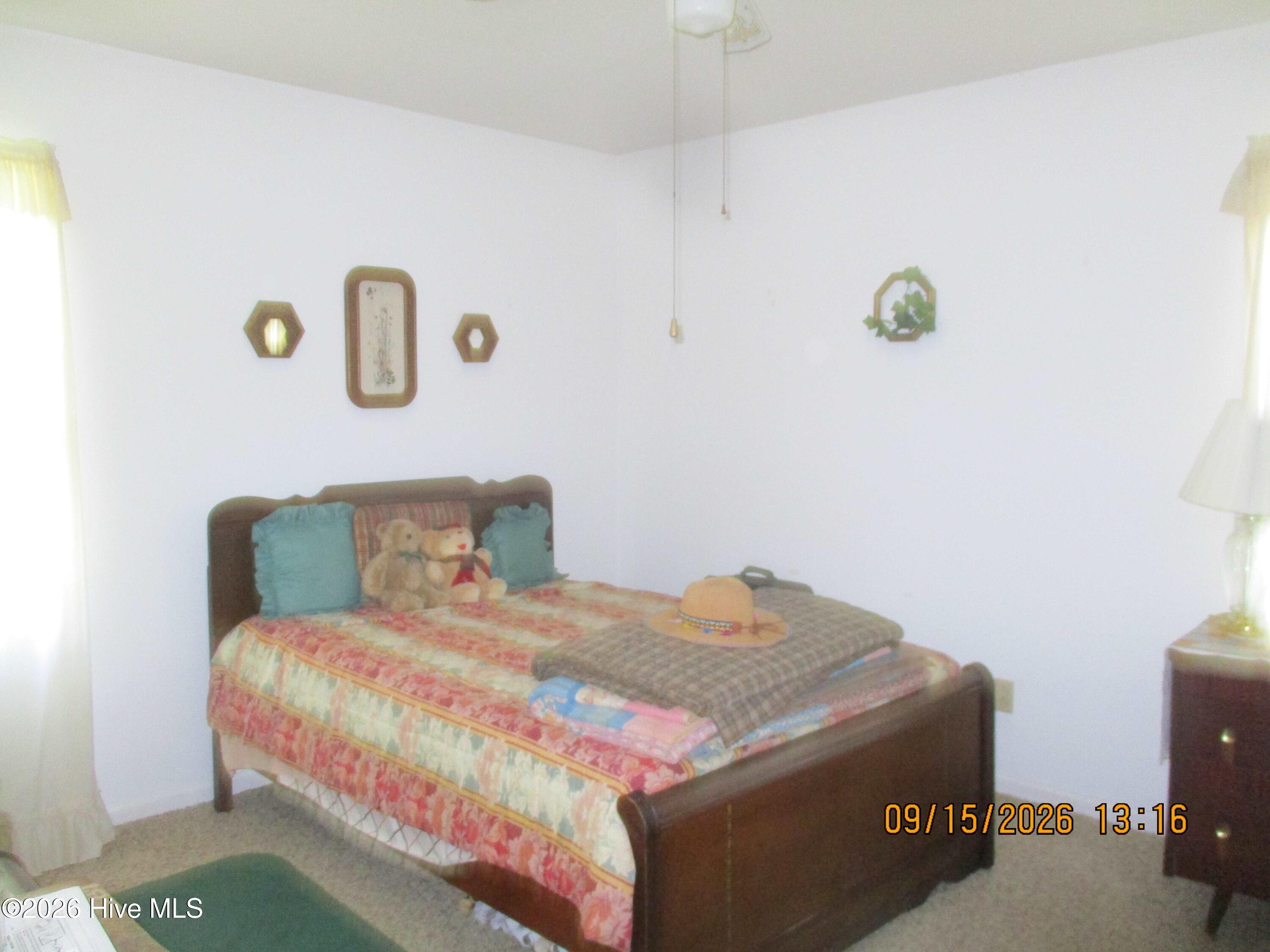 7625 Wheat Swamp Road Property Photo 6