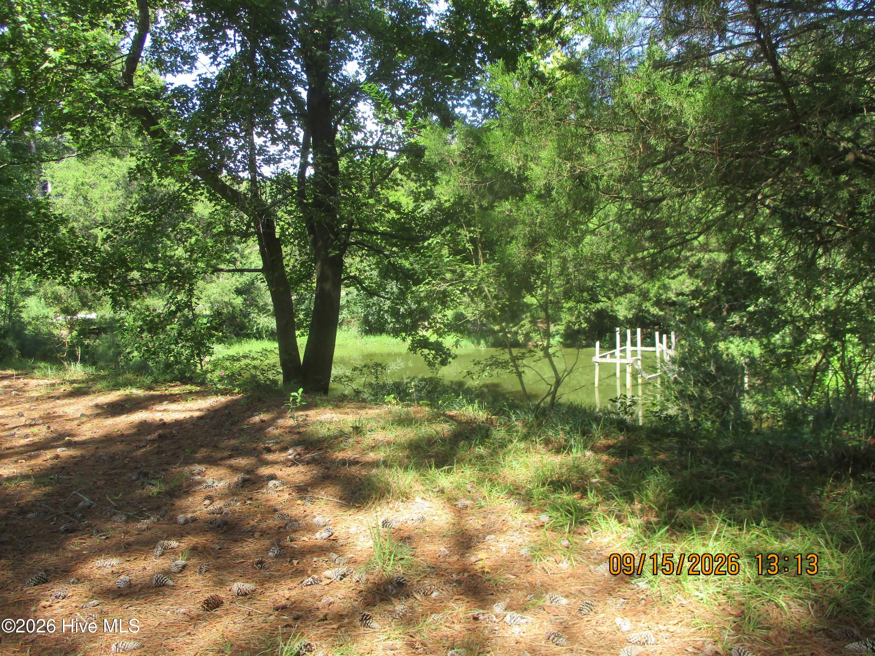 7625 Wheat Swamp Road Property Photo 8