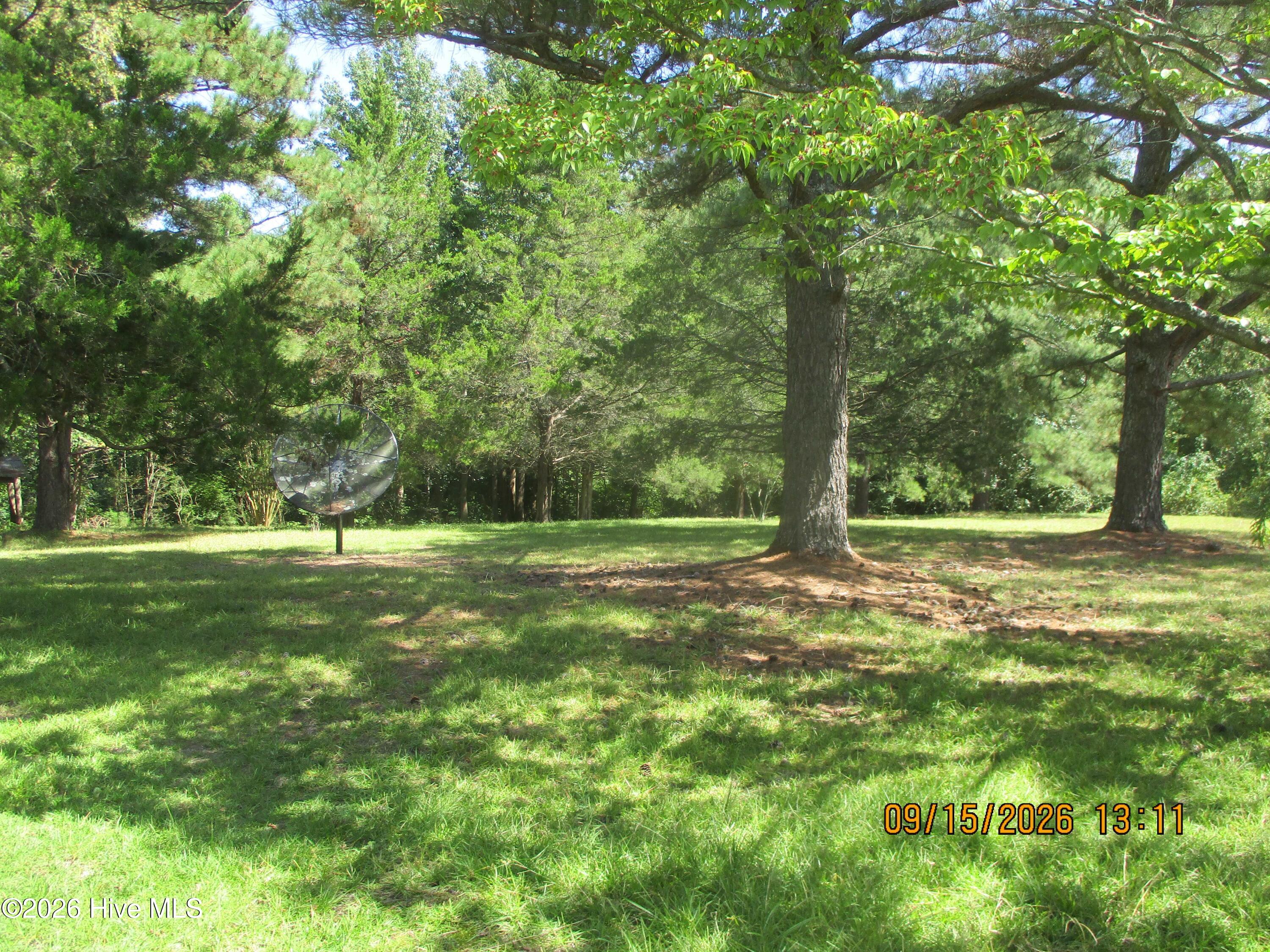 7625 Wheat Swamp Road Property Photo 9