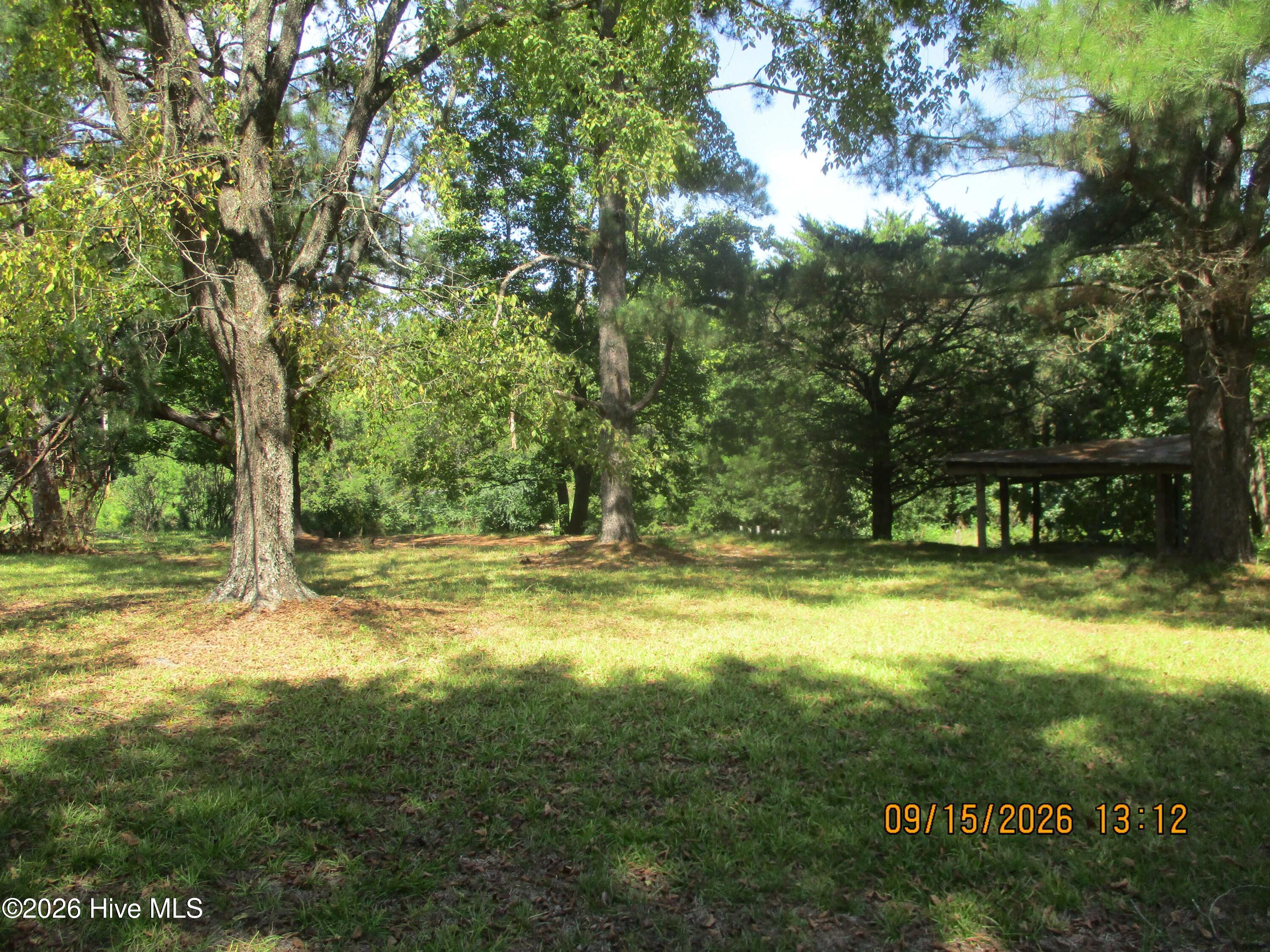 7625 Wheat Swamp Road Property Photo 10