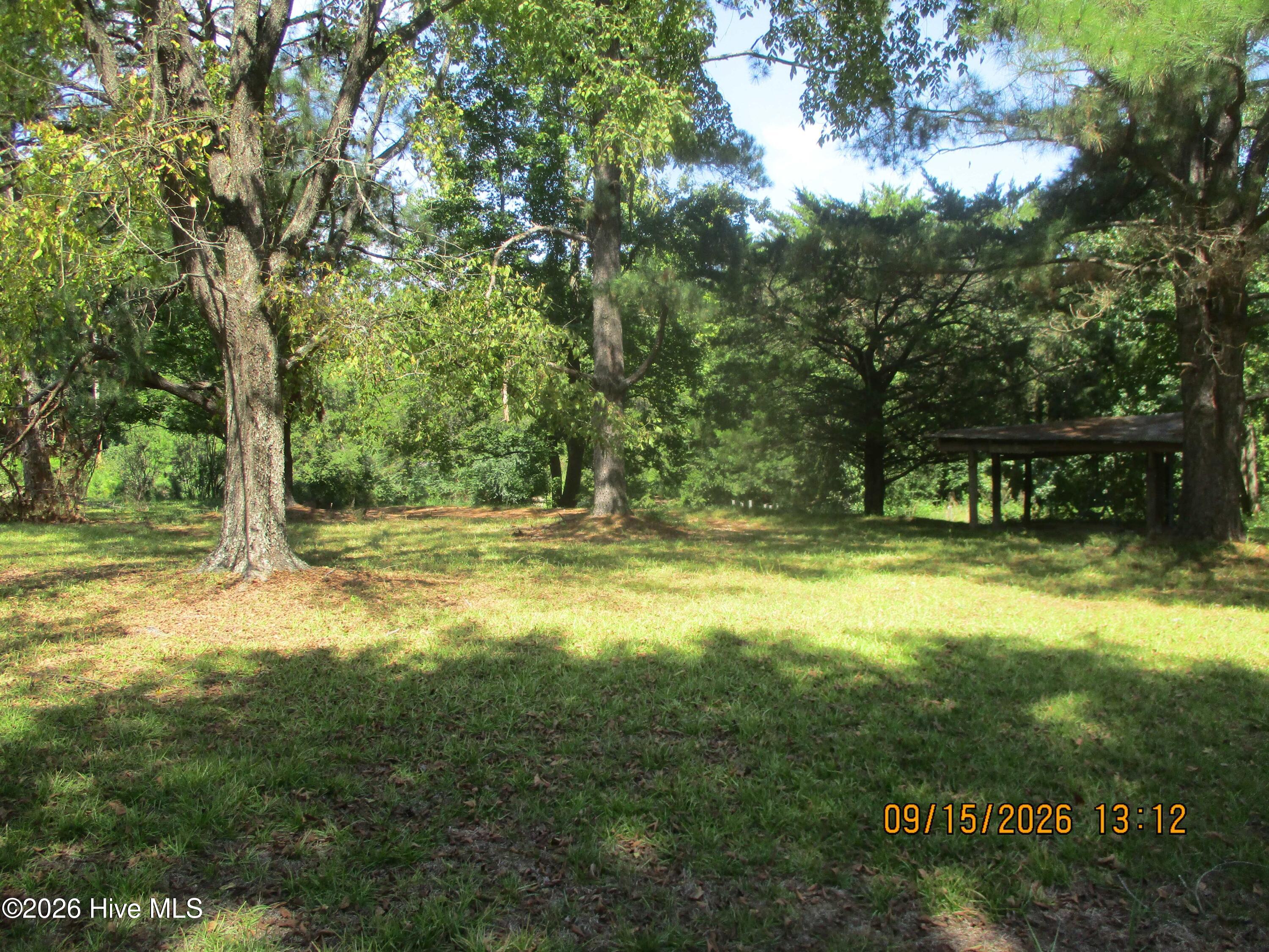 7625 Wheat Swamp Road Property Photo 11