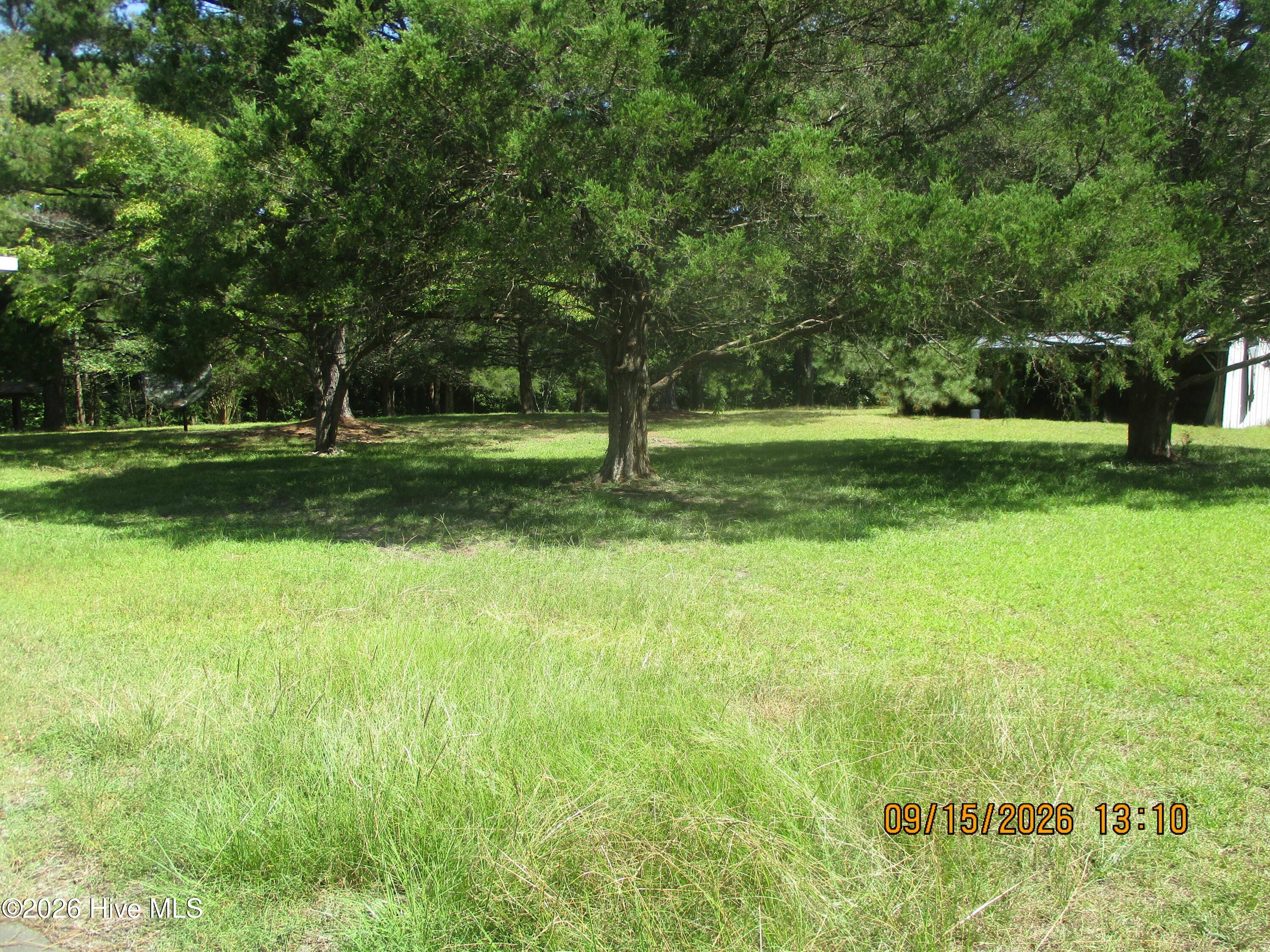 7625 Wheat Swamp Road Property Photo 13