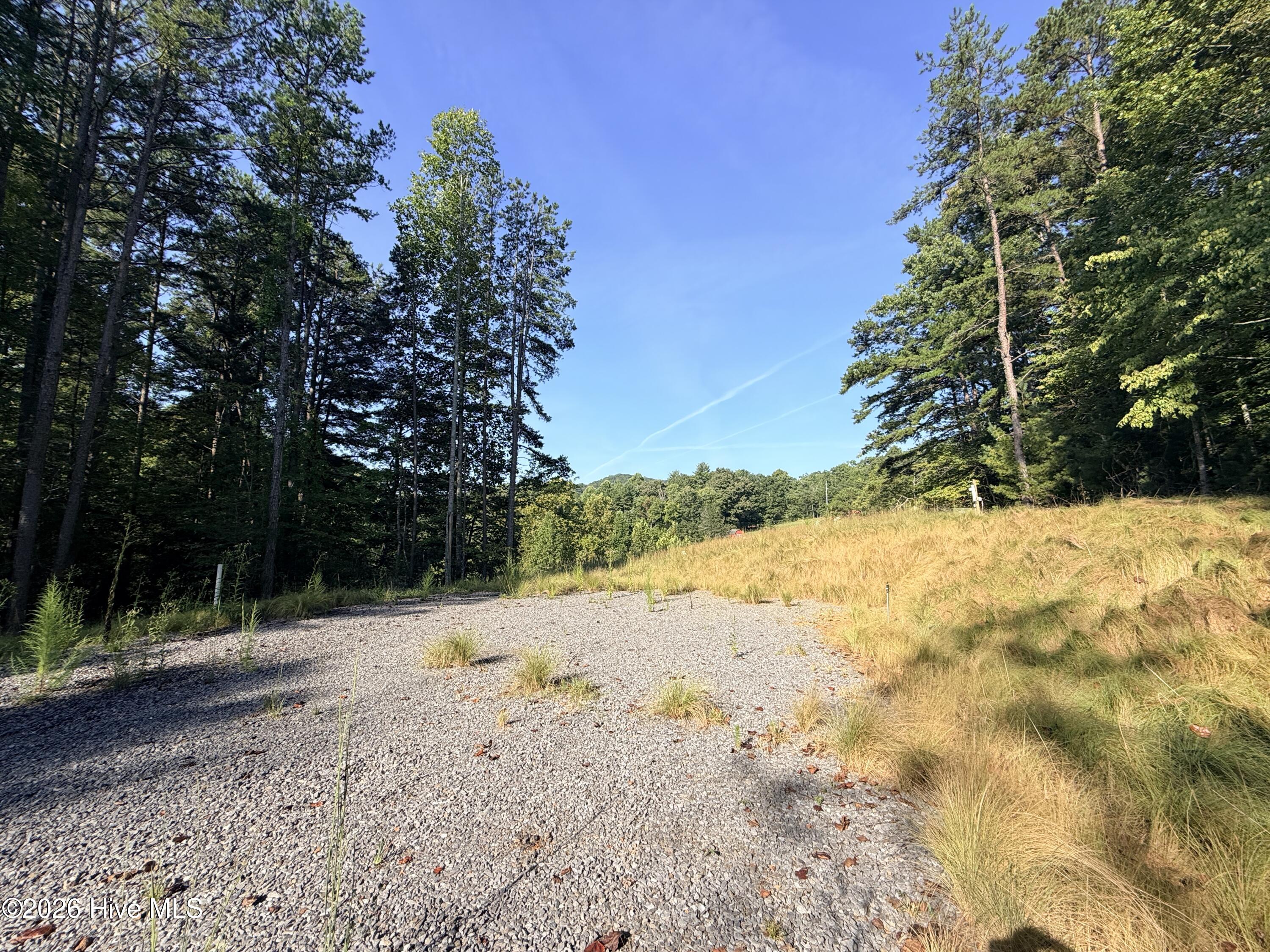 6260 Martins Creek Road Property Photo 2