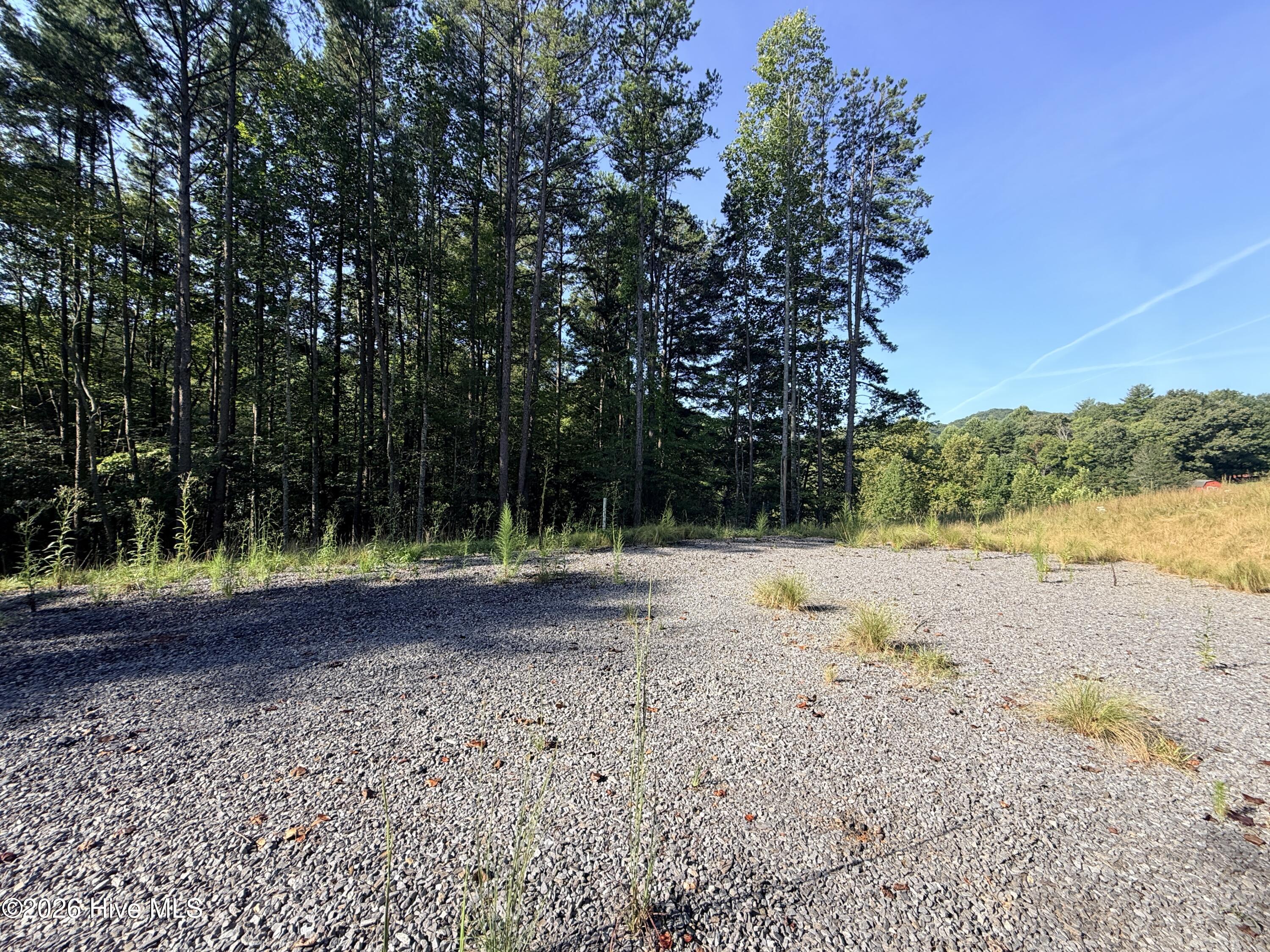 6260 Martins Creek Road Property Photo 3