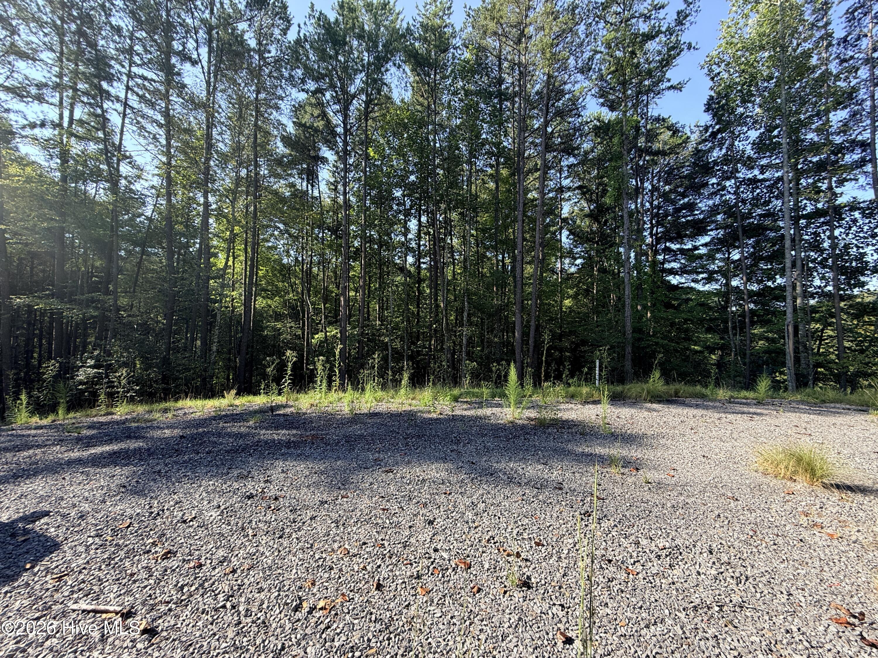 6260 Martins Creek Road Property Photo 4