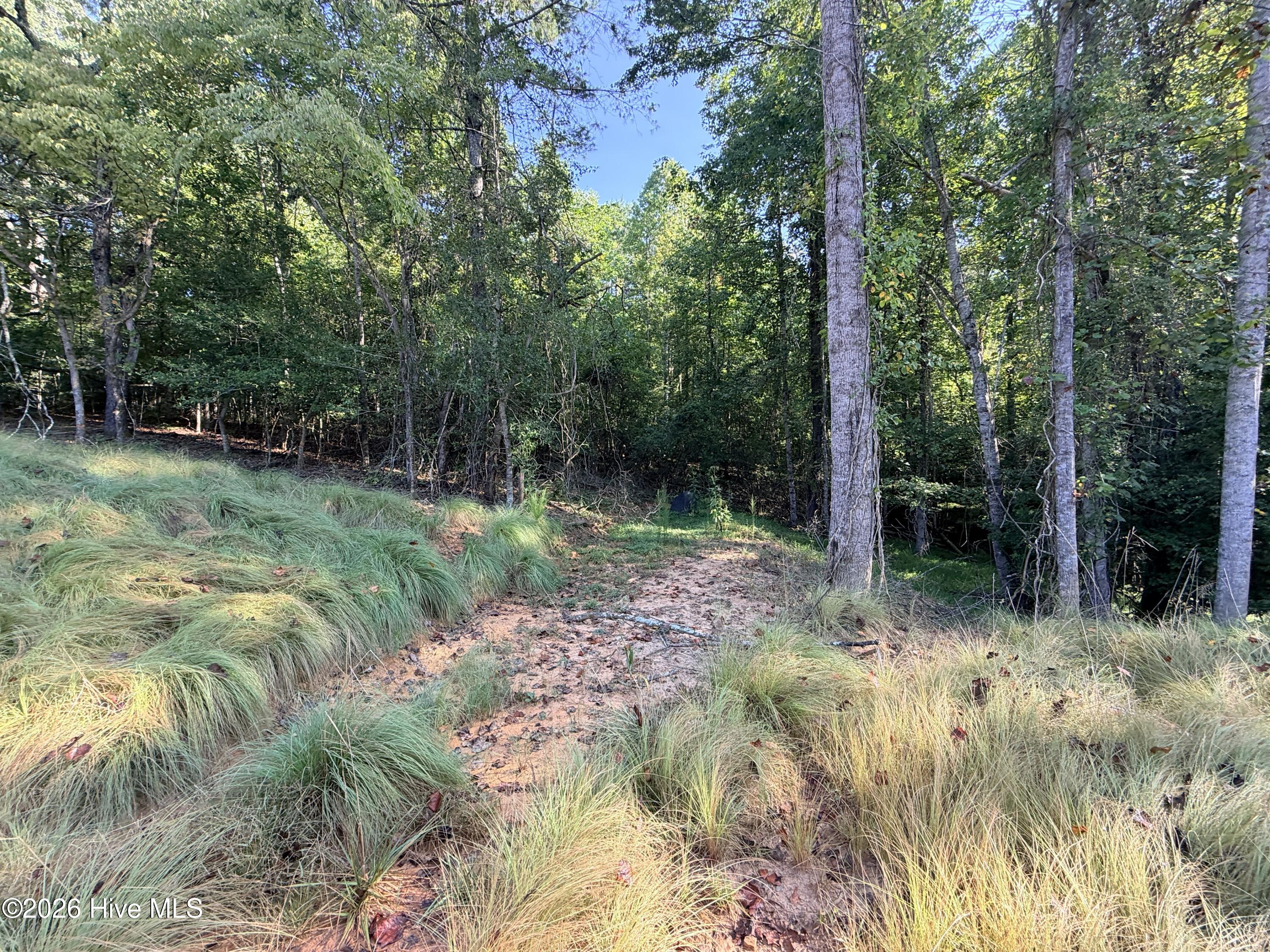 6260 Martins Creek Road Property Photo 5