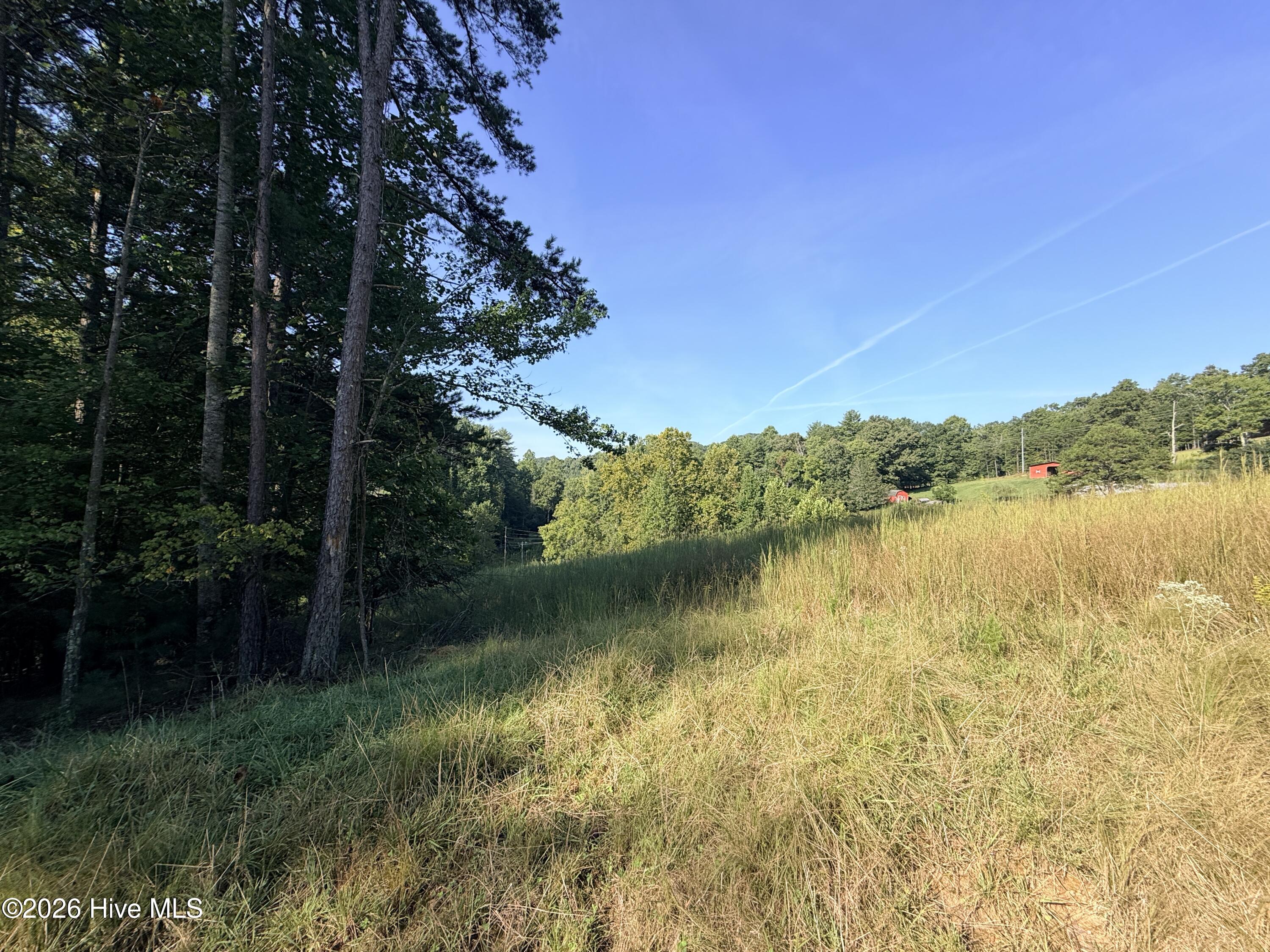 6260 Martins Creek Road Property Photo 7